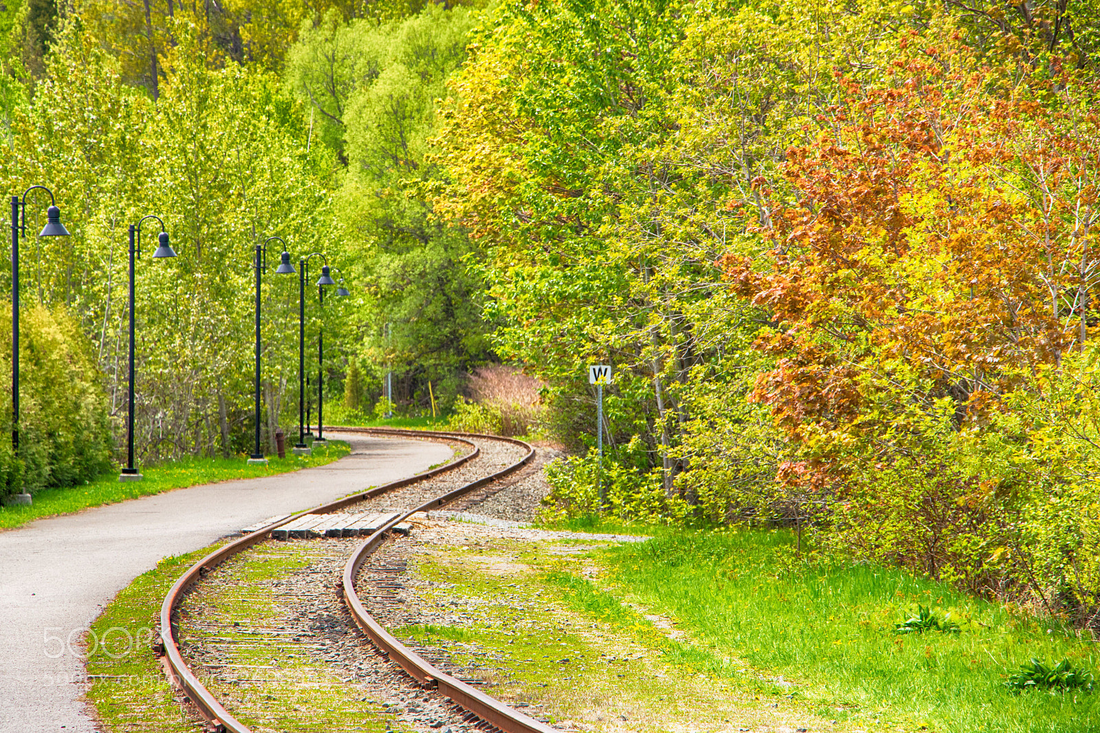 Canon EOS 750D (EOS Rebel T6i / EOS Kiss X8i) sample photo. Railroad to the forest photography