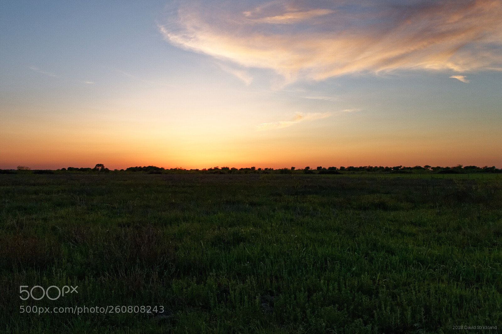Canon EF 24-105mm F4L IS II USM sample photo. Grassland sunset photography