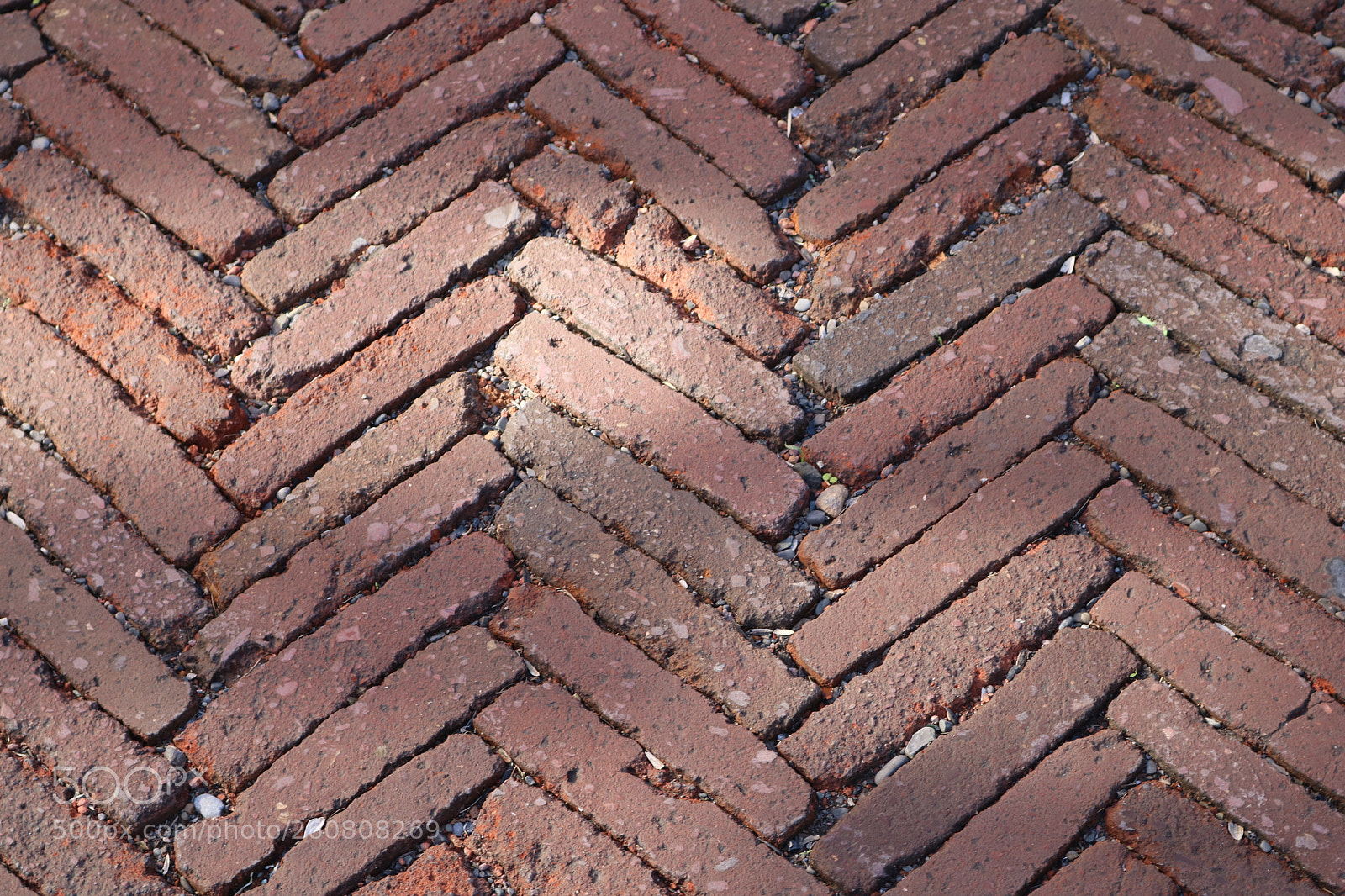 Canon EOS 750D (EOS Rebel T6i / EOS Kiss X8i) sample photo. Pavement photography