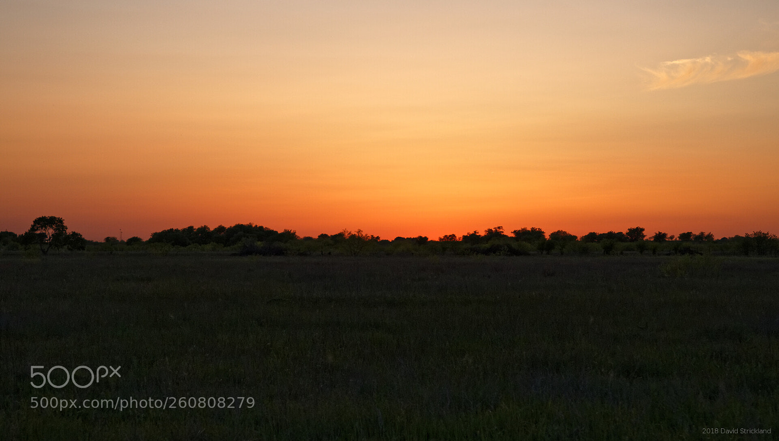 Canon EF 24-105mm F4L IS II USM sample photo. Grassland sunset photography