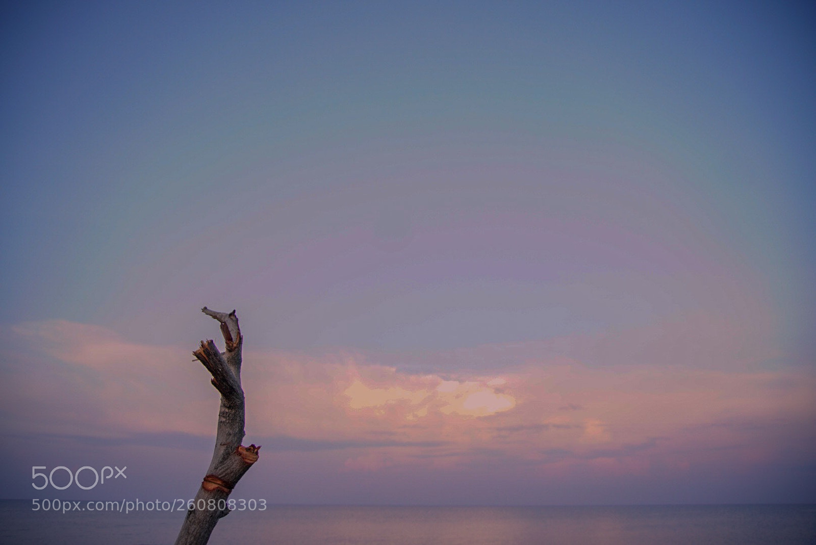 Sony a6000 sample photo. Smiles of nature photography