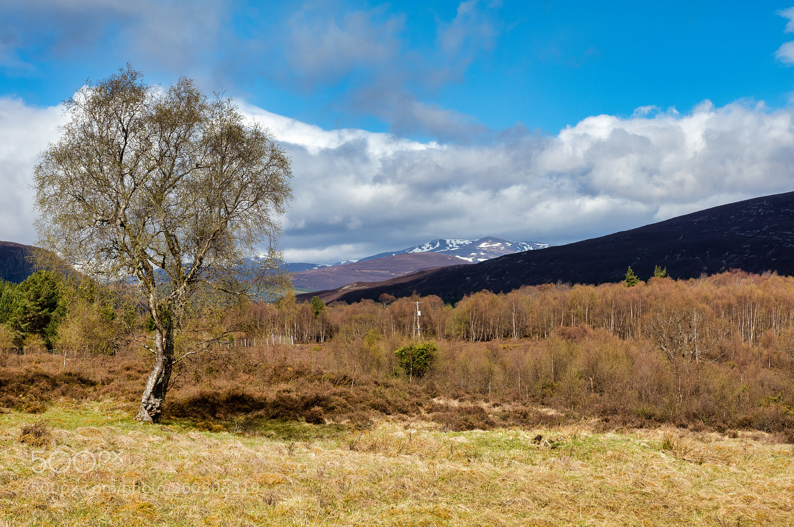 Canon EOS 80D sample photo. The scottish highlands photography