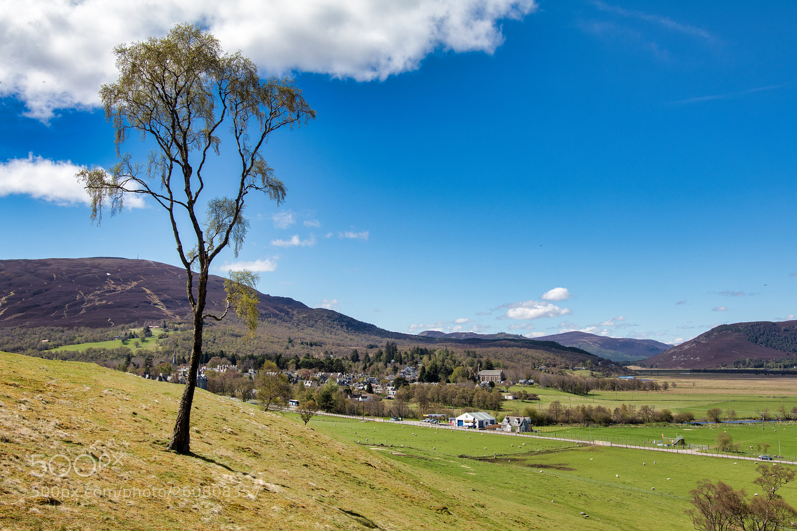 Canon EOS 80D sample photo. View over braemar photography