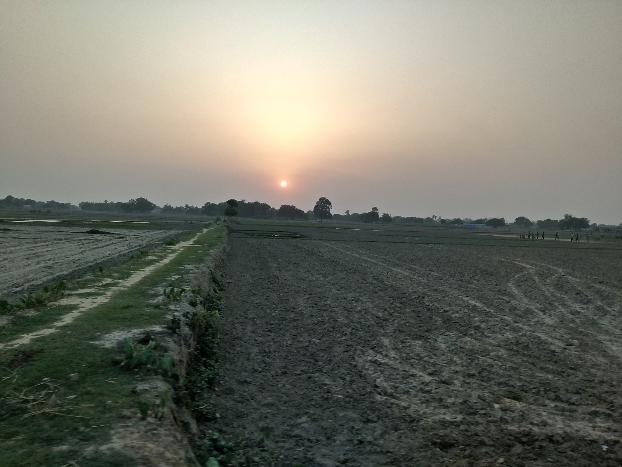 OPPO A37fw-International sample photo. Village farm photography