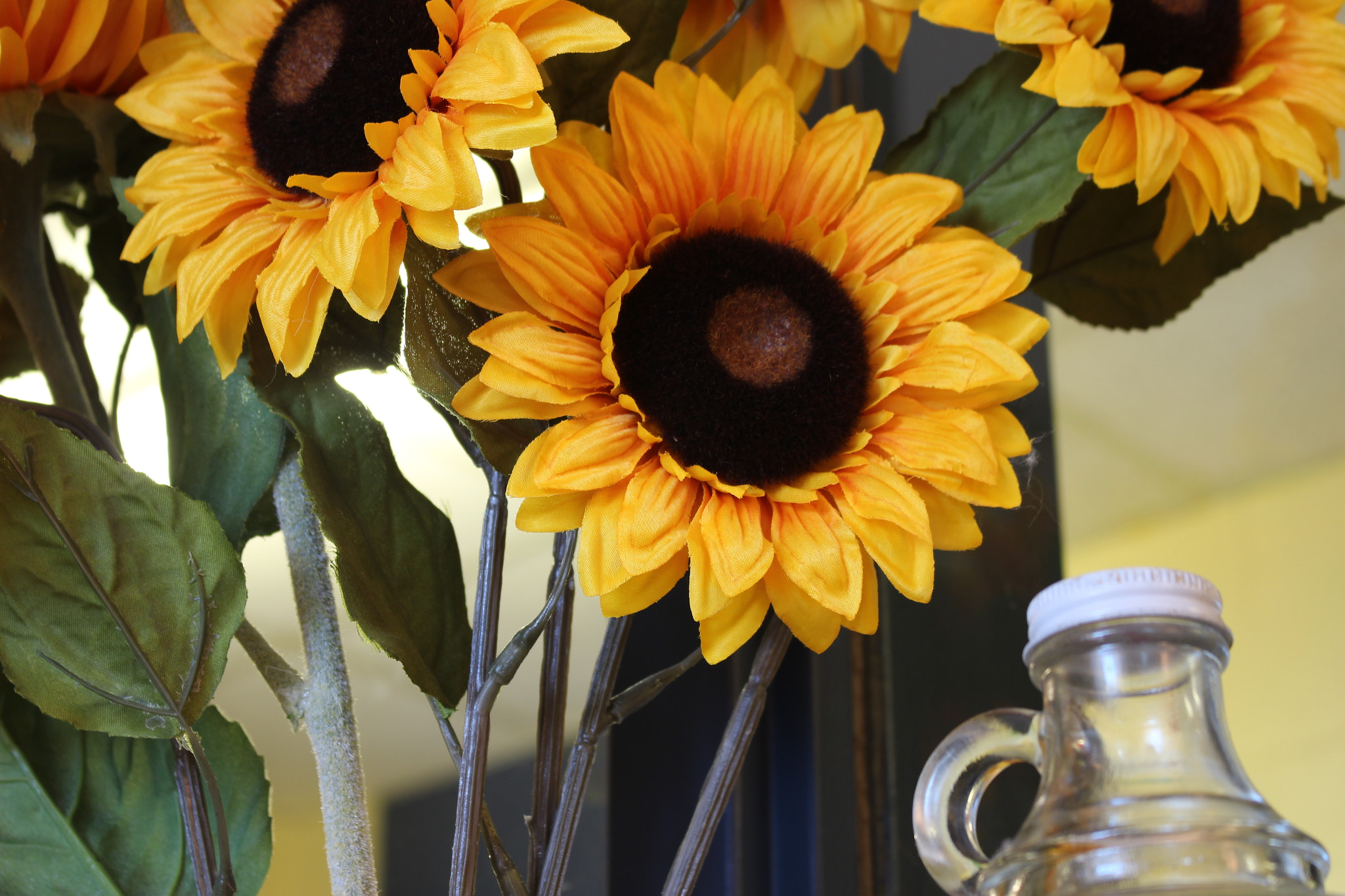 Canon EOS 100D (EOS Rebel SL1 / EOS Kiss X7) sample photo. Sunshine photography