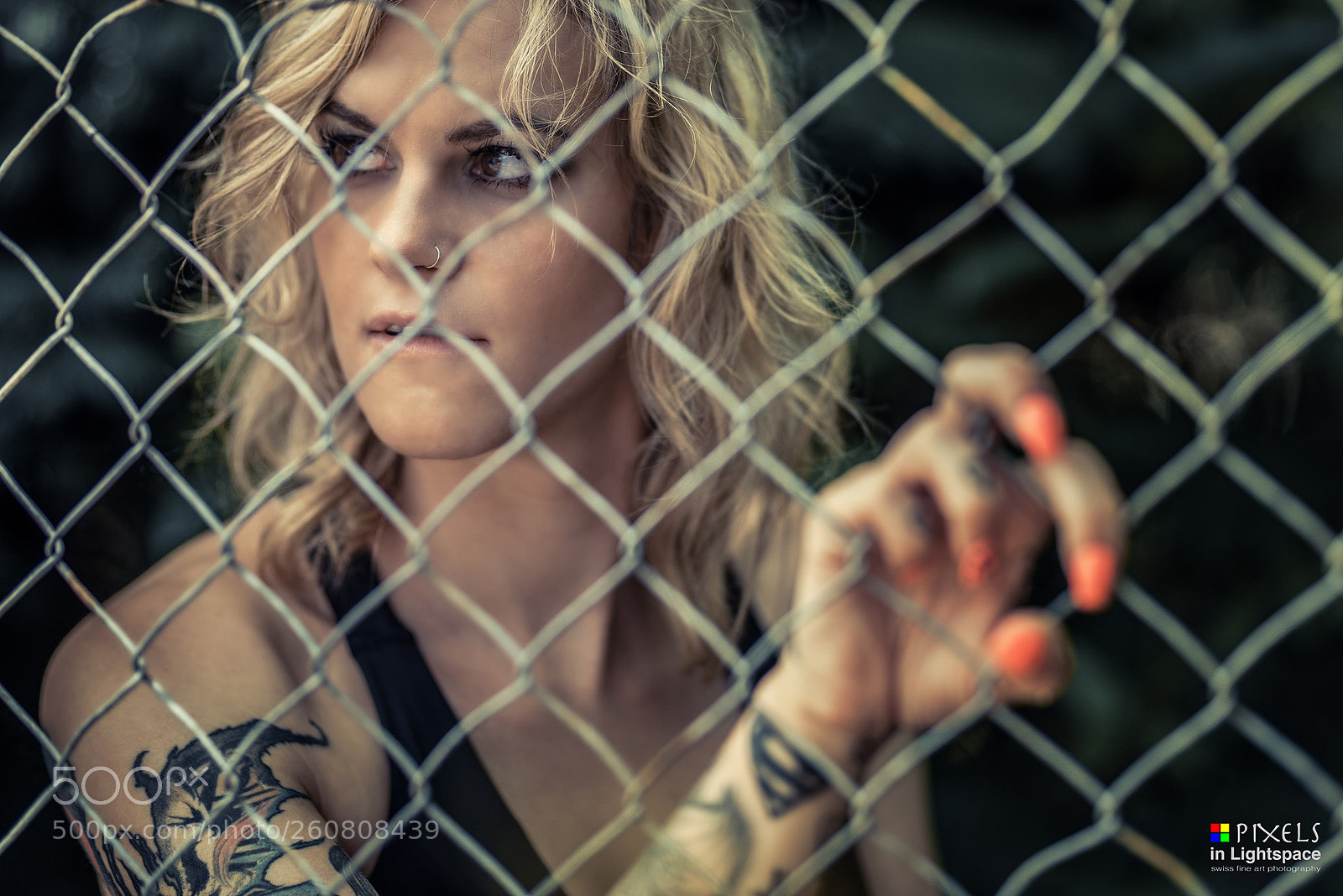 Nikon D810 sample photo. Beauty in cage photography