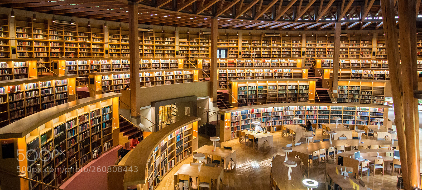 Canon EOS 70D sample photo. Nakajima library of aiu photography