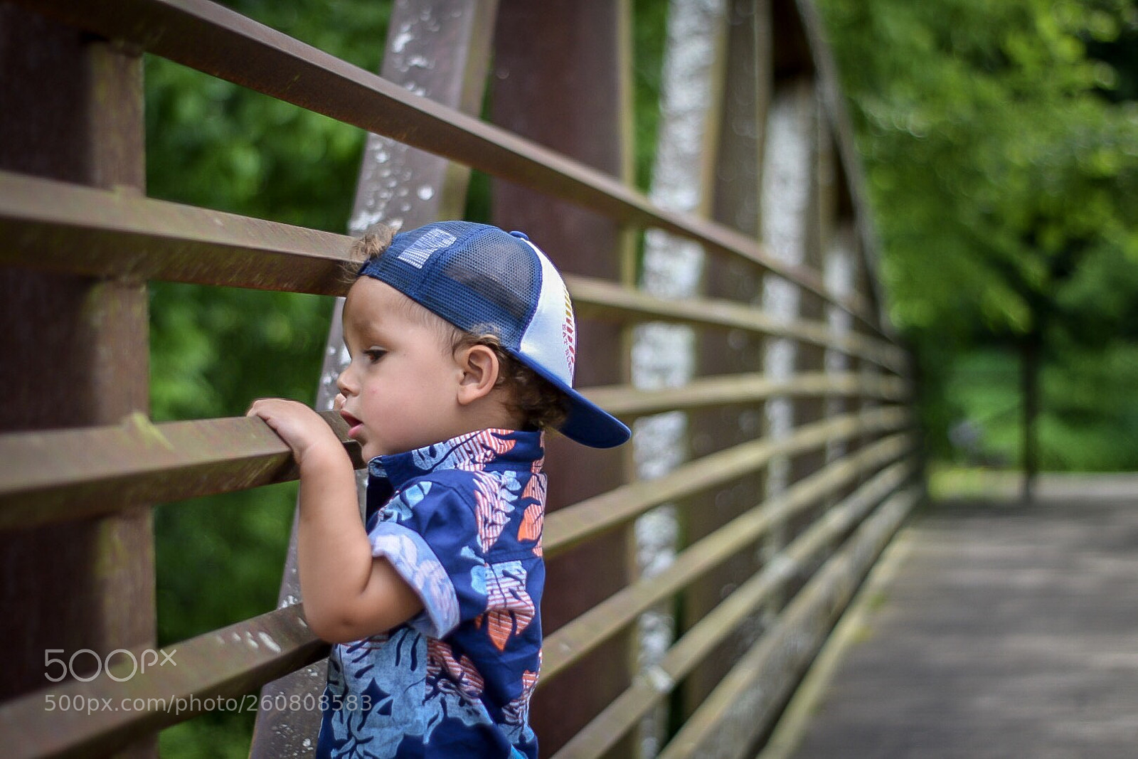 Nikon D3300 sample photo. Day at the park 2. photography