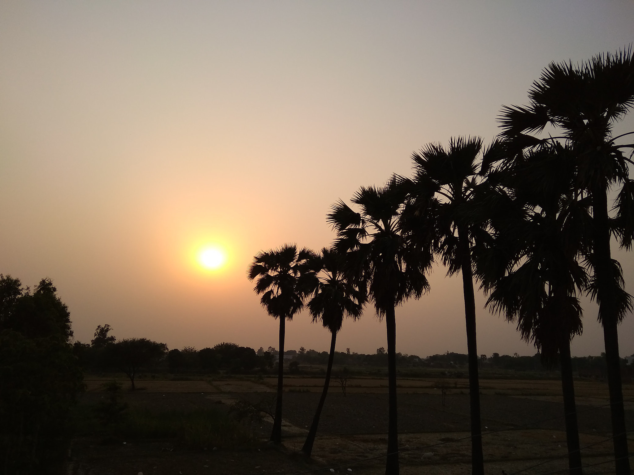 Xiaomi Redmi 5A sample photo