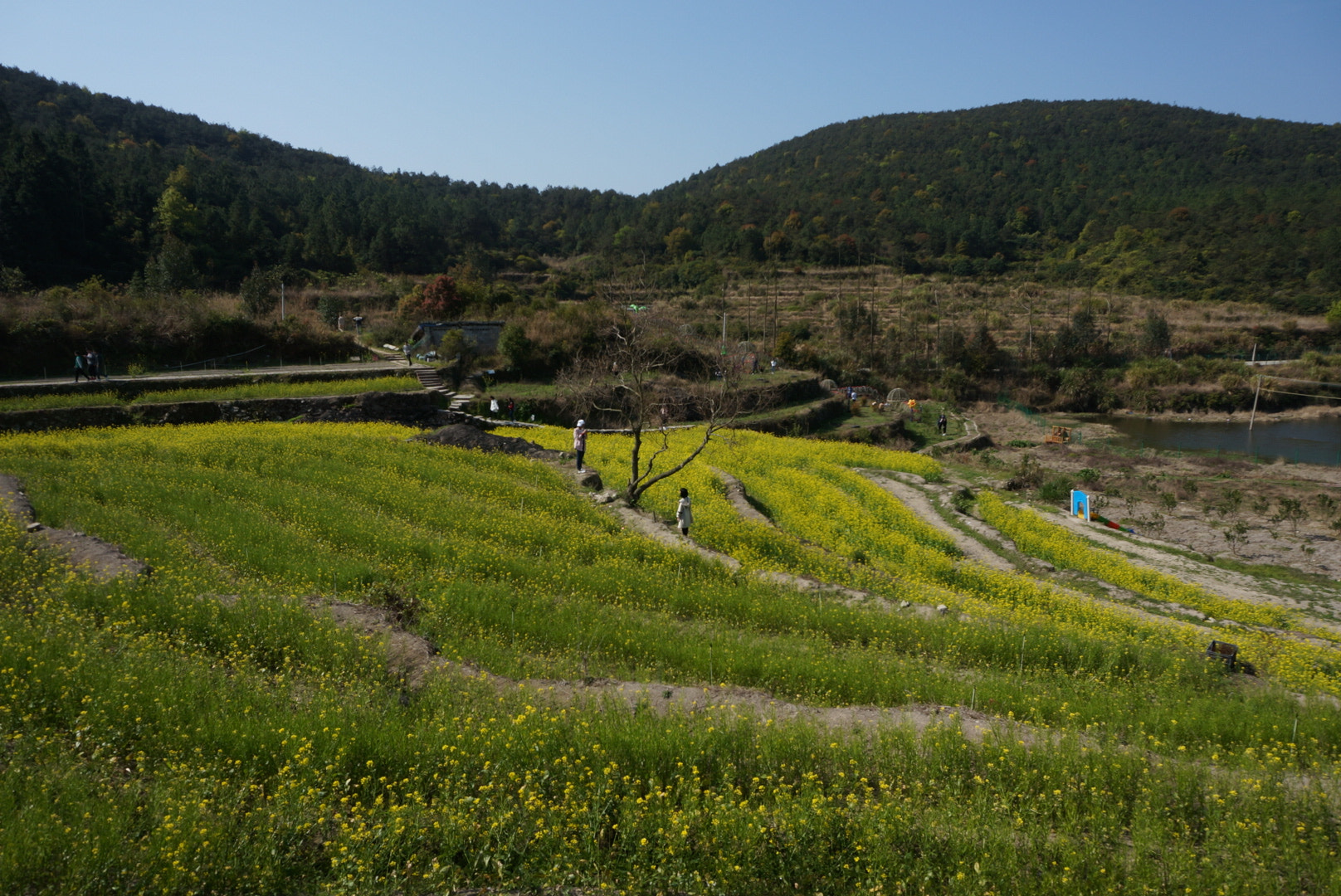 Sony Alpha NEX-5T sample photo. Countryside photography