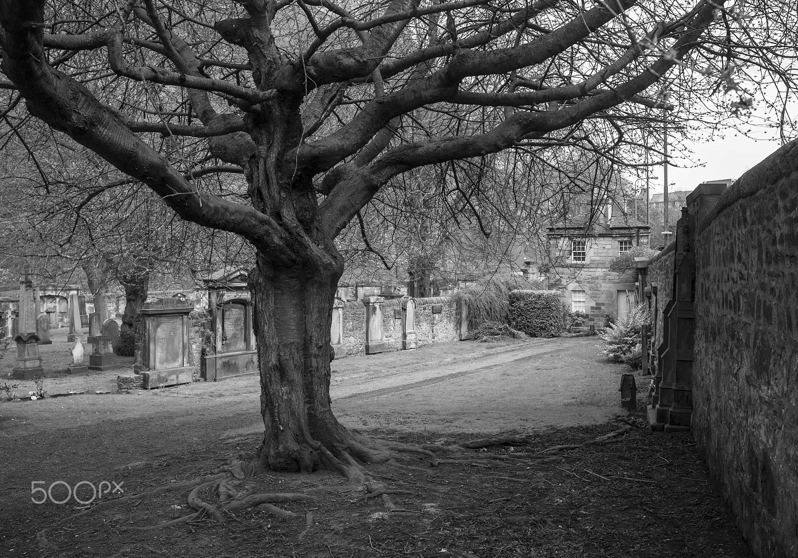 Fujifilm FinePix X100 sample photo. . photography