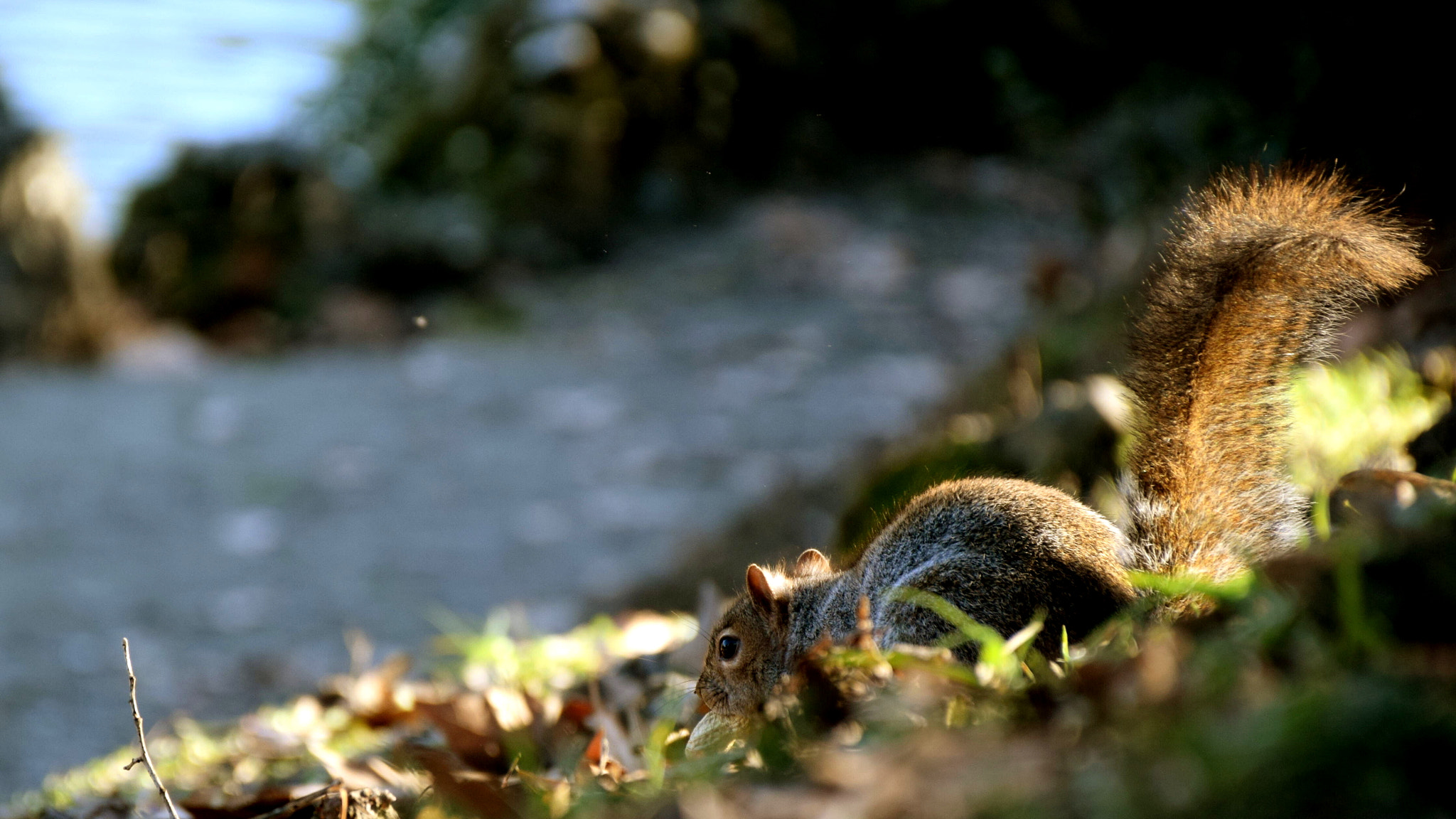 Nikon D5300 sample photo. Wait for it... photography