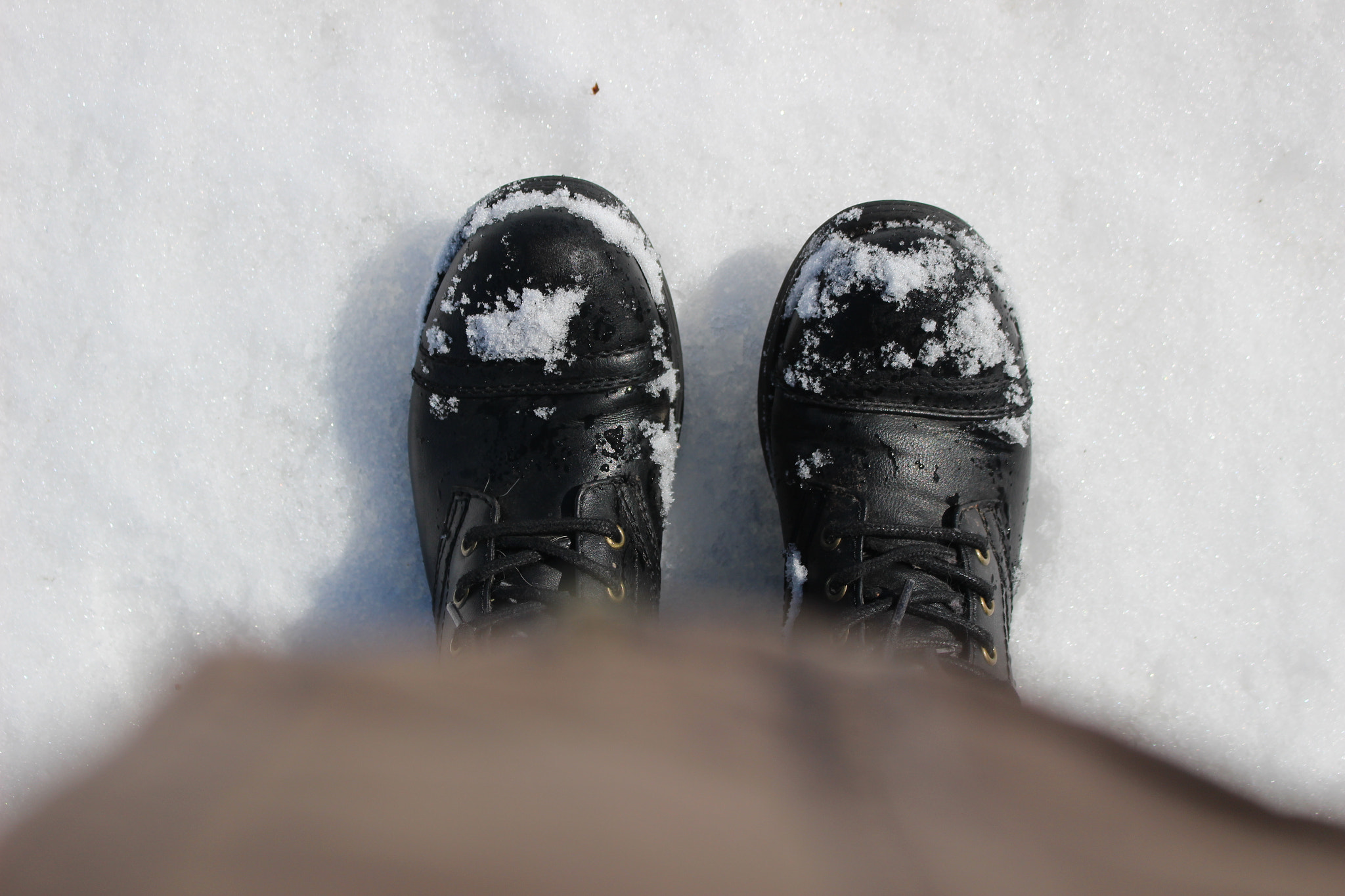 Canon EOS 100D (EOS Rebel SL1 / EOS Kiss X7) sample photo. Cold to the bone photography