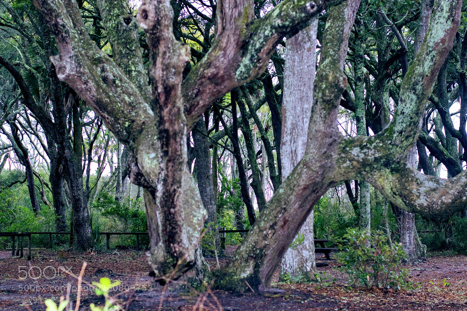 Nikon D7100 sample photo. Untitled photography