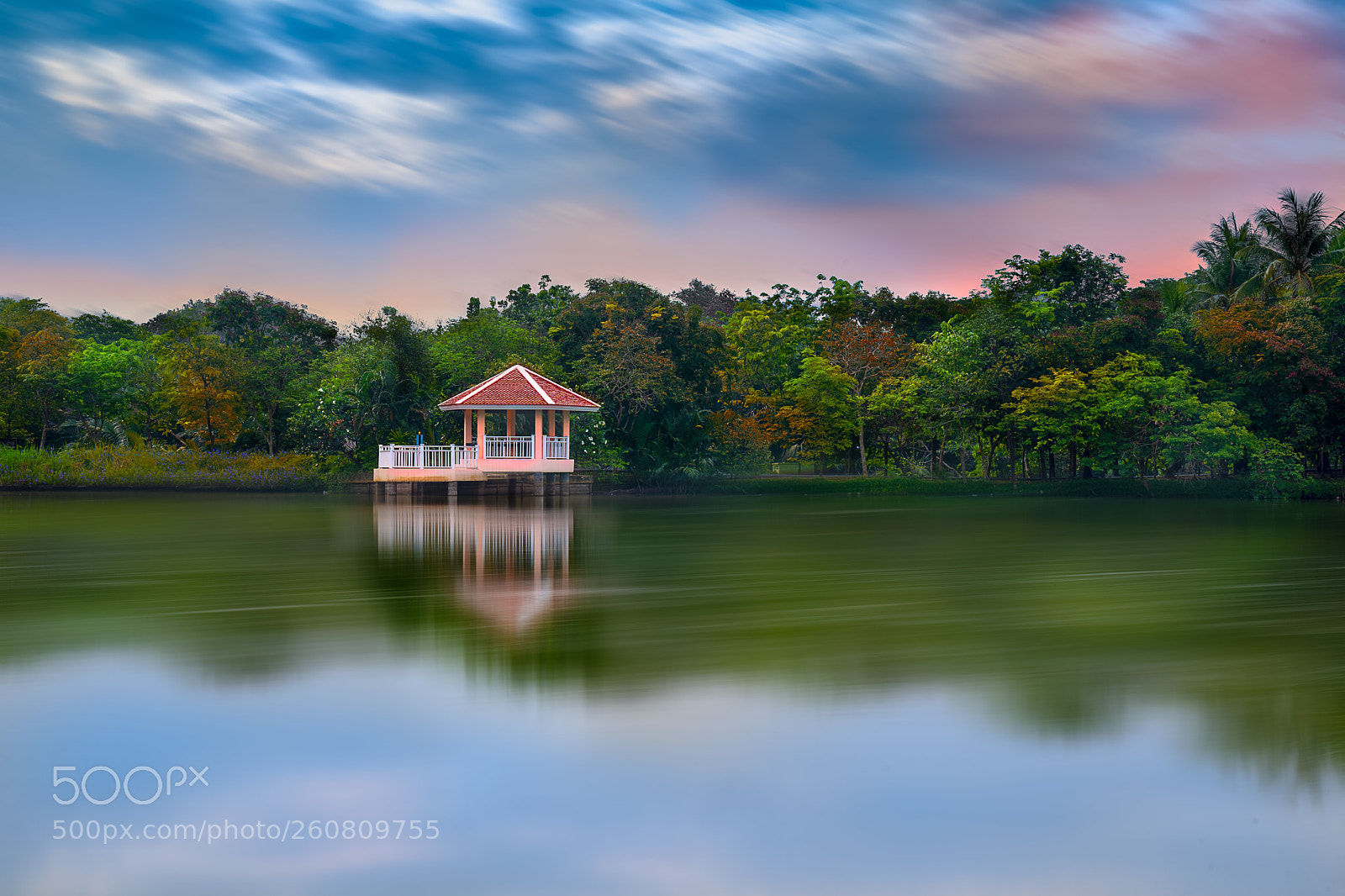 Sony a7 III sample photo. Lake with lush green photography