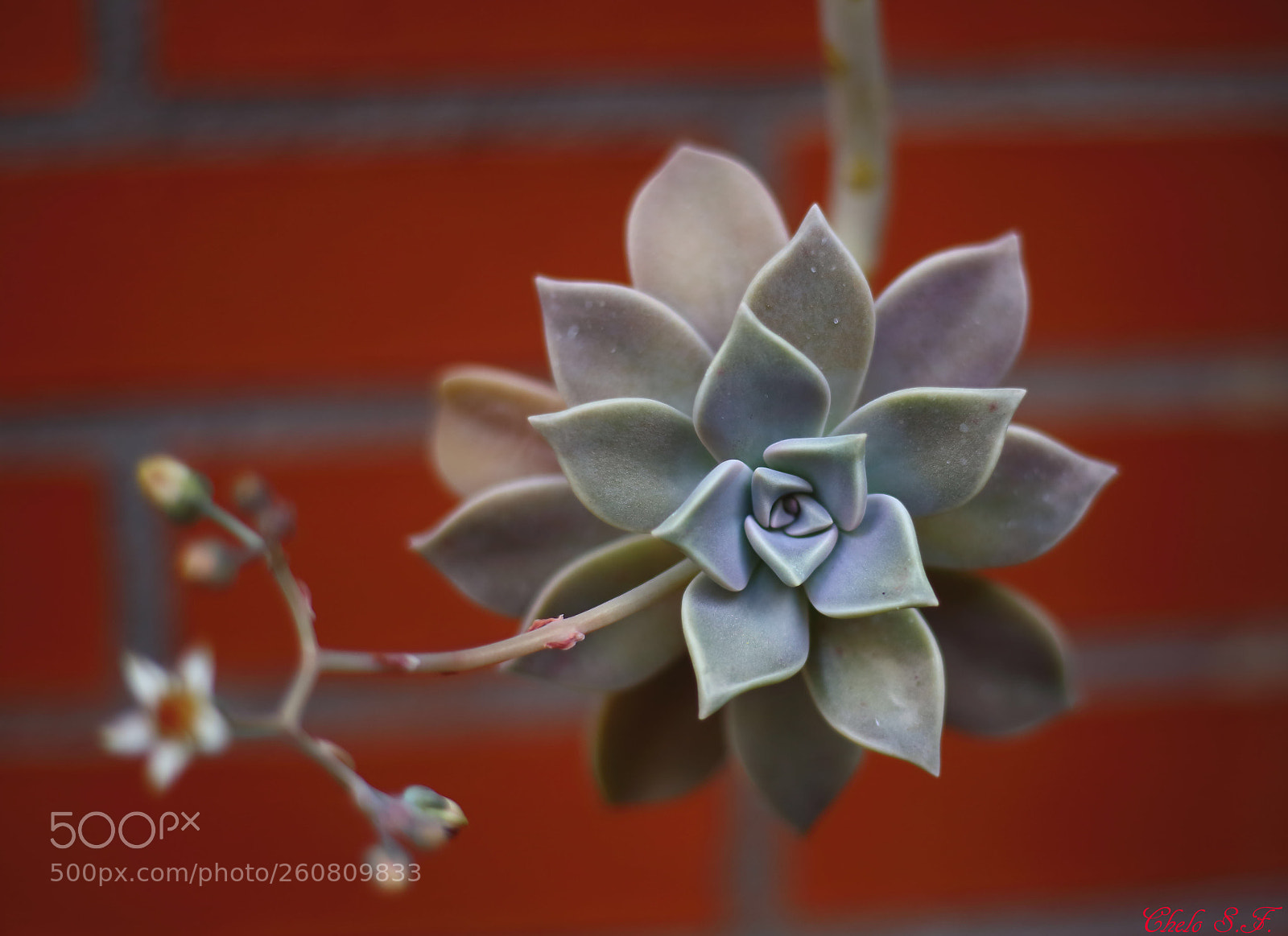 Canon EOS 6D sample photo. Untitled photography