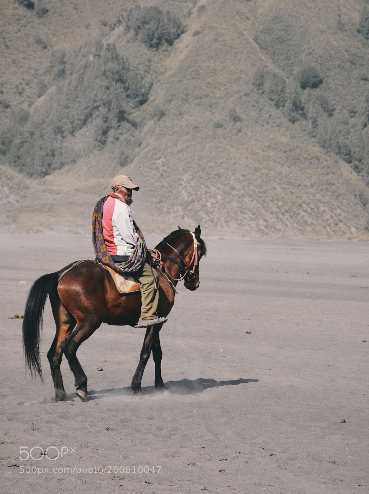 Nikon D5100 sample photo. A horseman photography