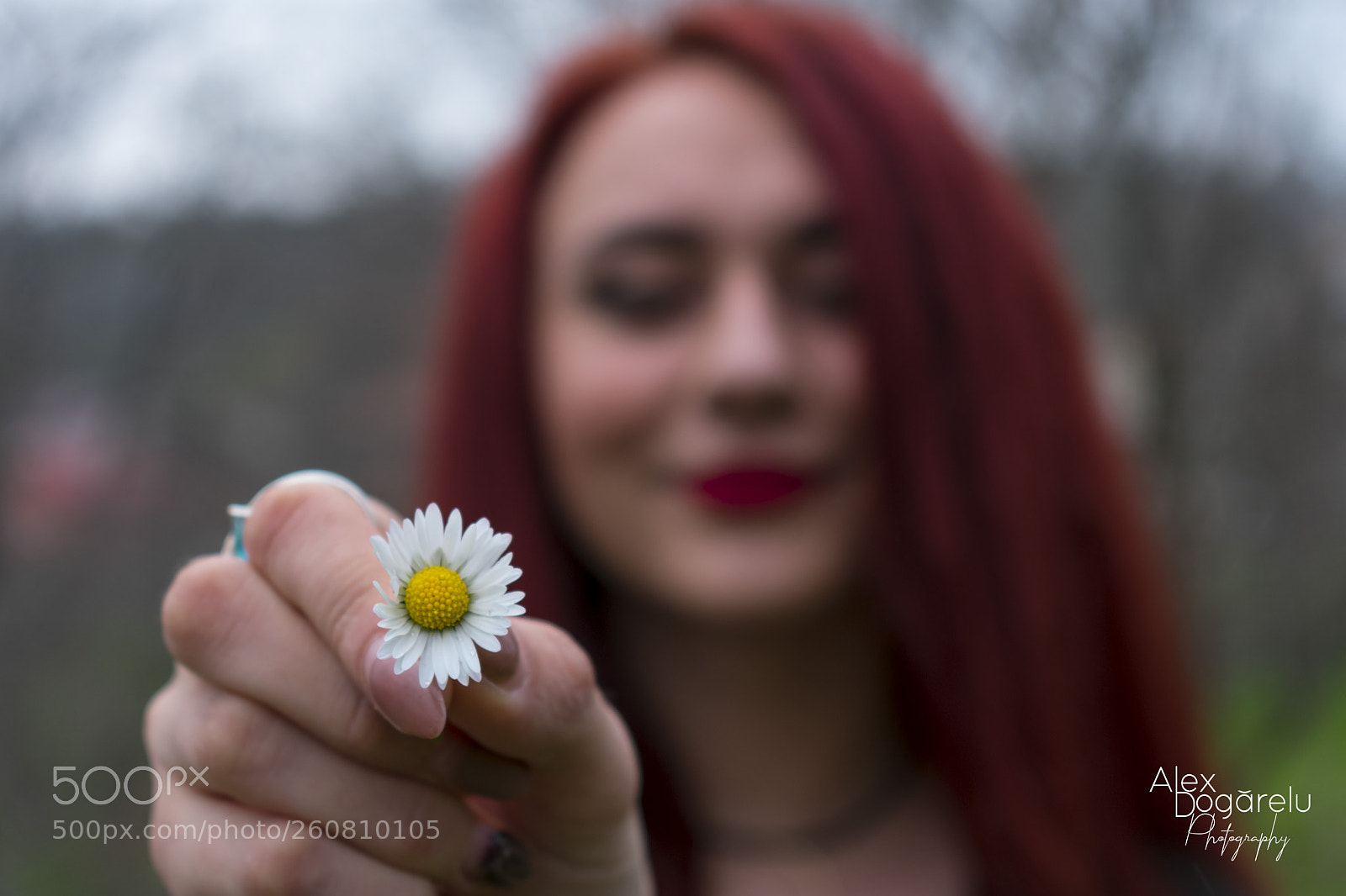 Nikon D3400 sample photo. Flower photography