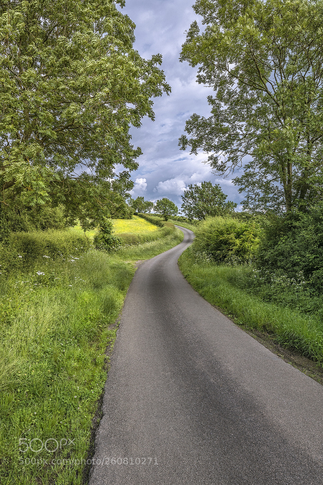 Sony a7R II sample photo. Country road photography
