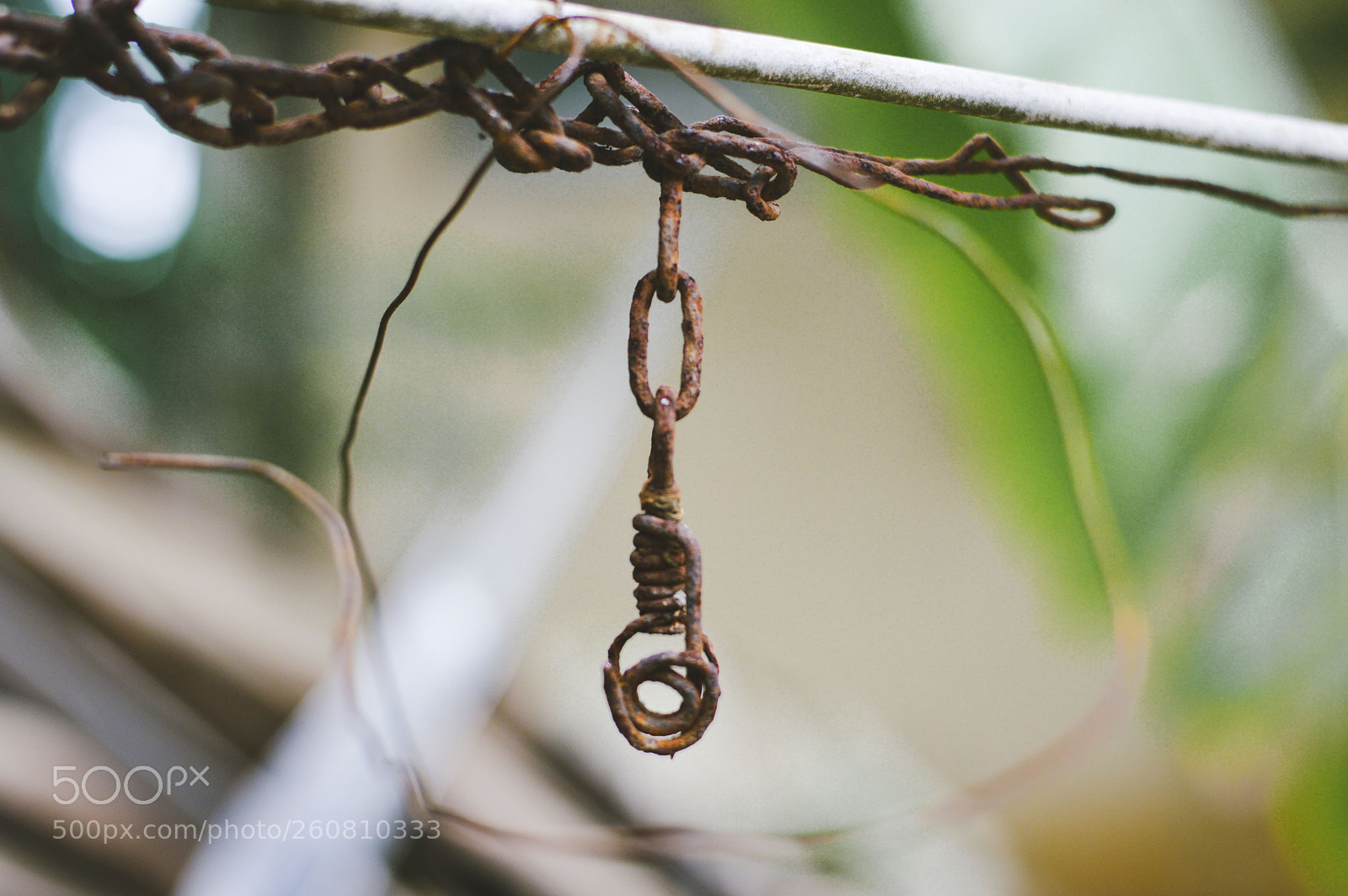 Nikon D3200 sample photo. Vintage photography