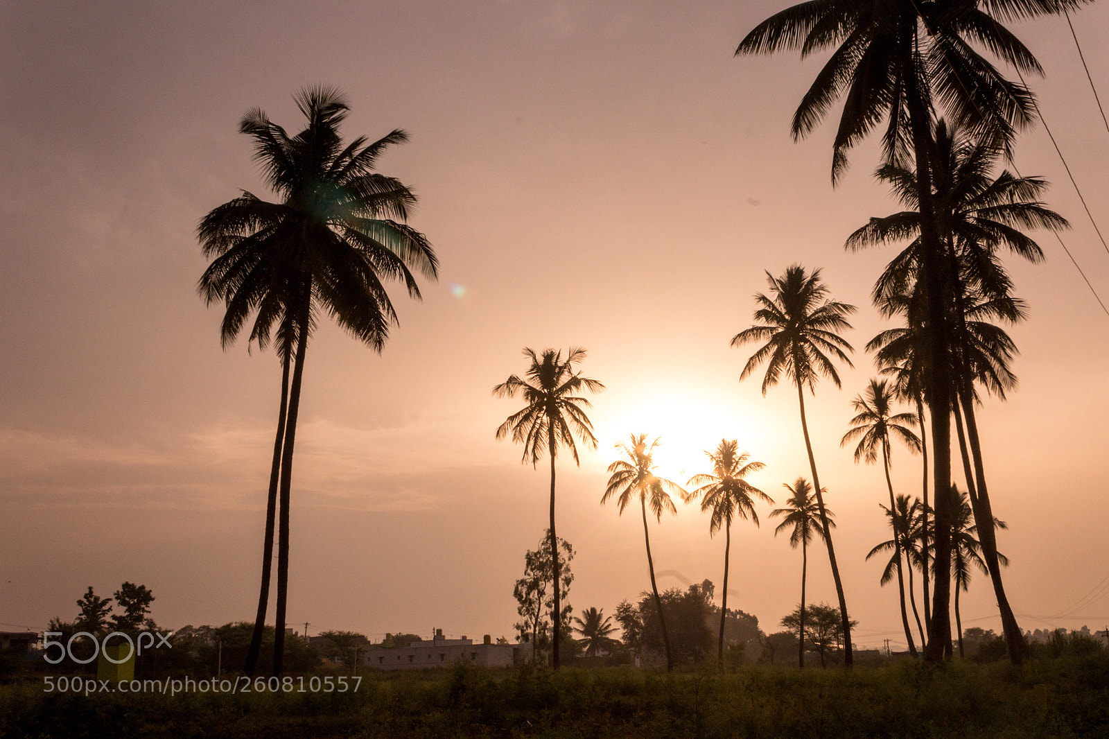 Canon EOS 1200D (EOS Rebel T5 / EOS Kiss X70 / EOS Hi) sample photo. Sunrise at hosur photography