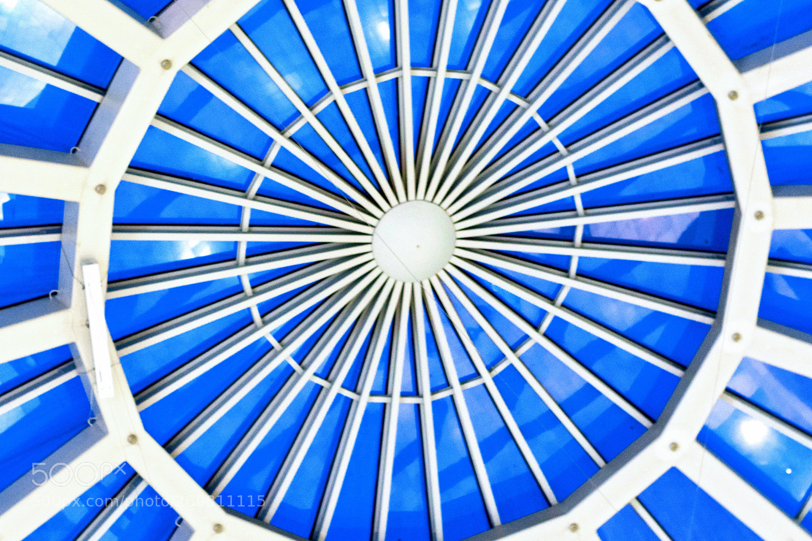 Nikon D7100 sample photo. Over head  photography