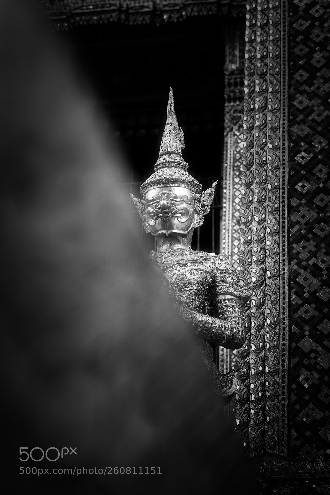 Nikon Df sample photo. Giant photography