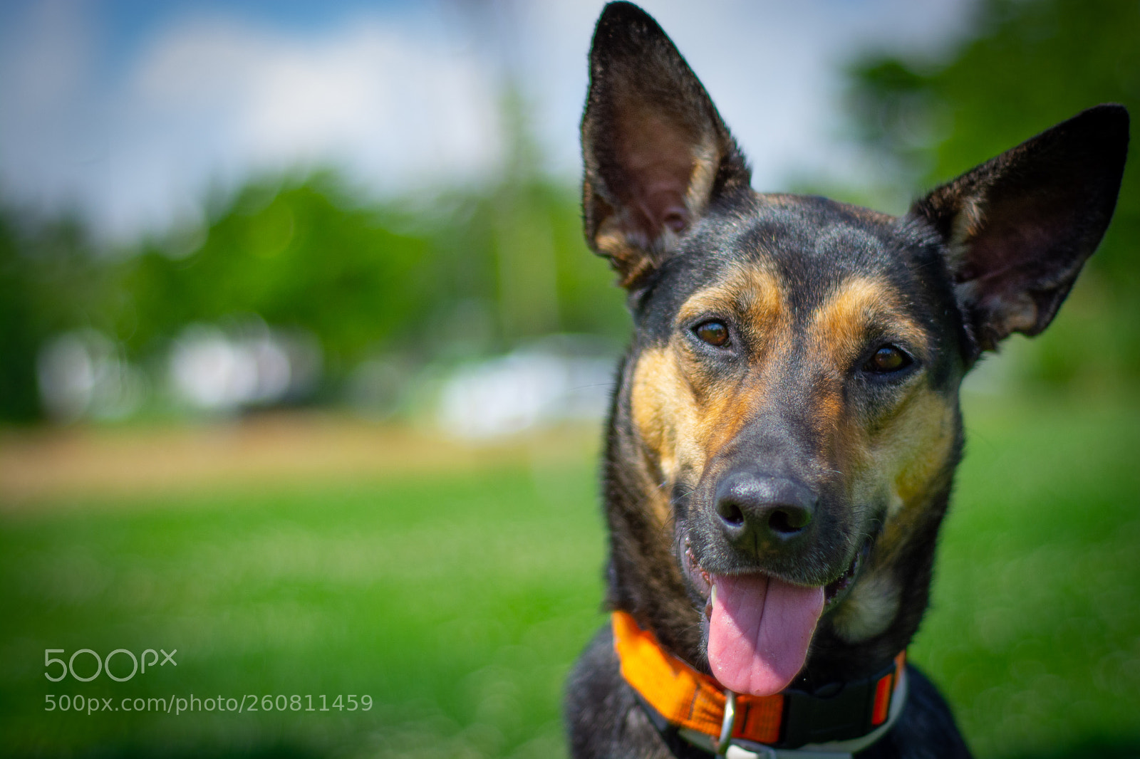 Nikon D7100 sample photo. Arya photography
