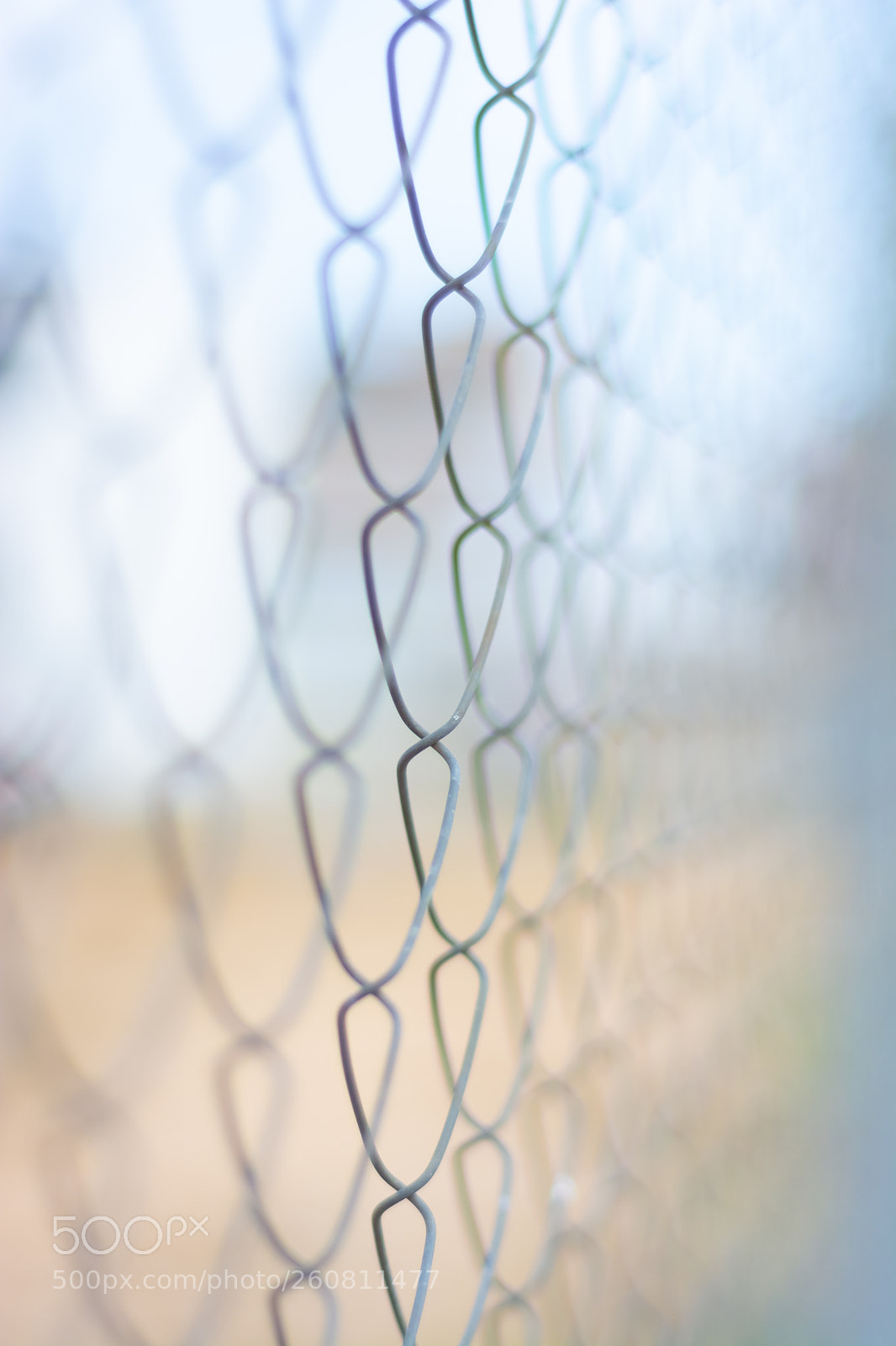 Nikon D7100 sample photo. Focus photography