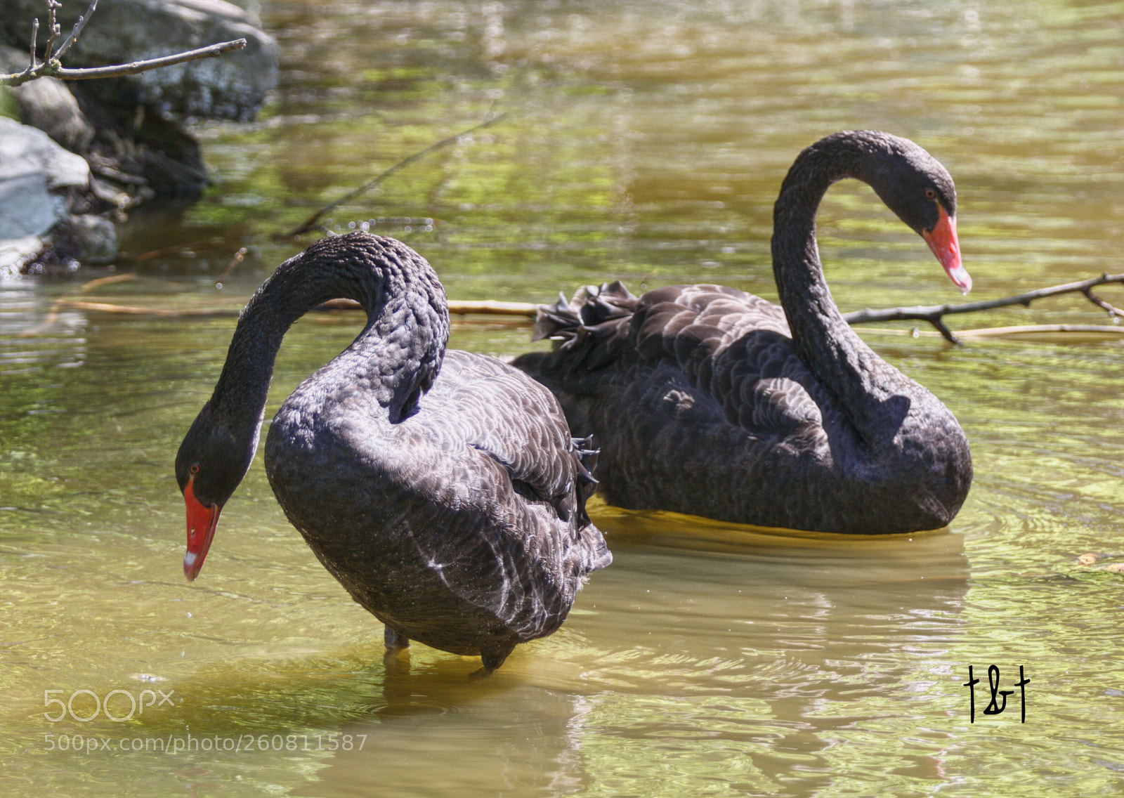 Canon EOS 7D sample photo. Untitled photography