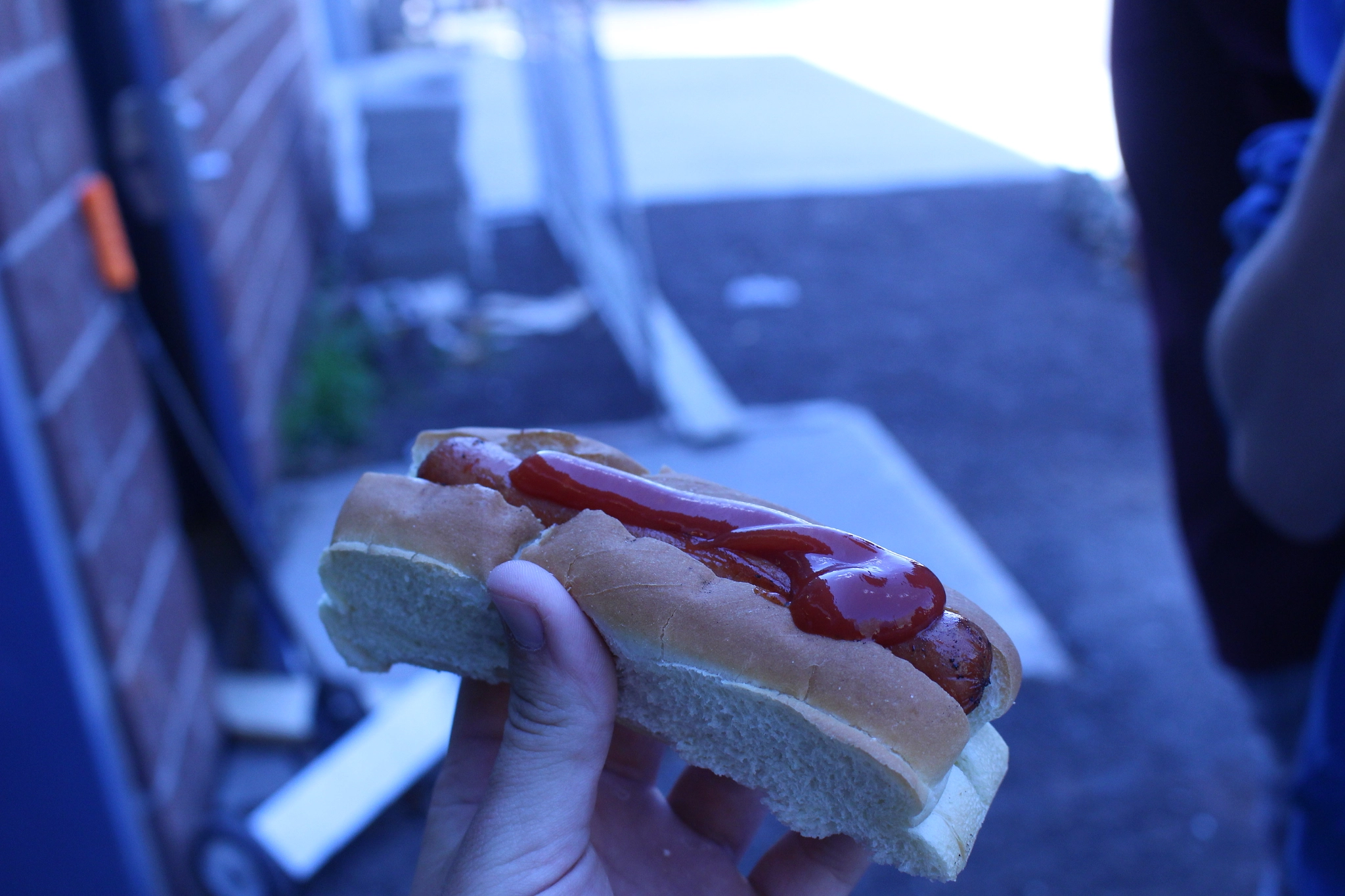 Canon EOS 100D (EOS Rebel SL1 / EOS Kiss X7) sample photo. One hot dog photography