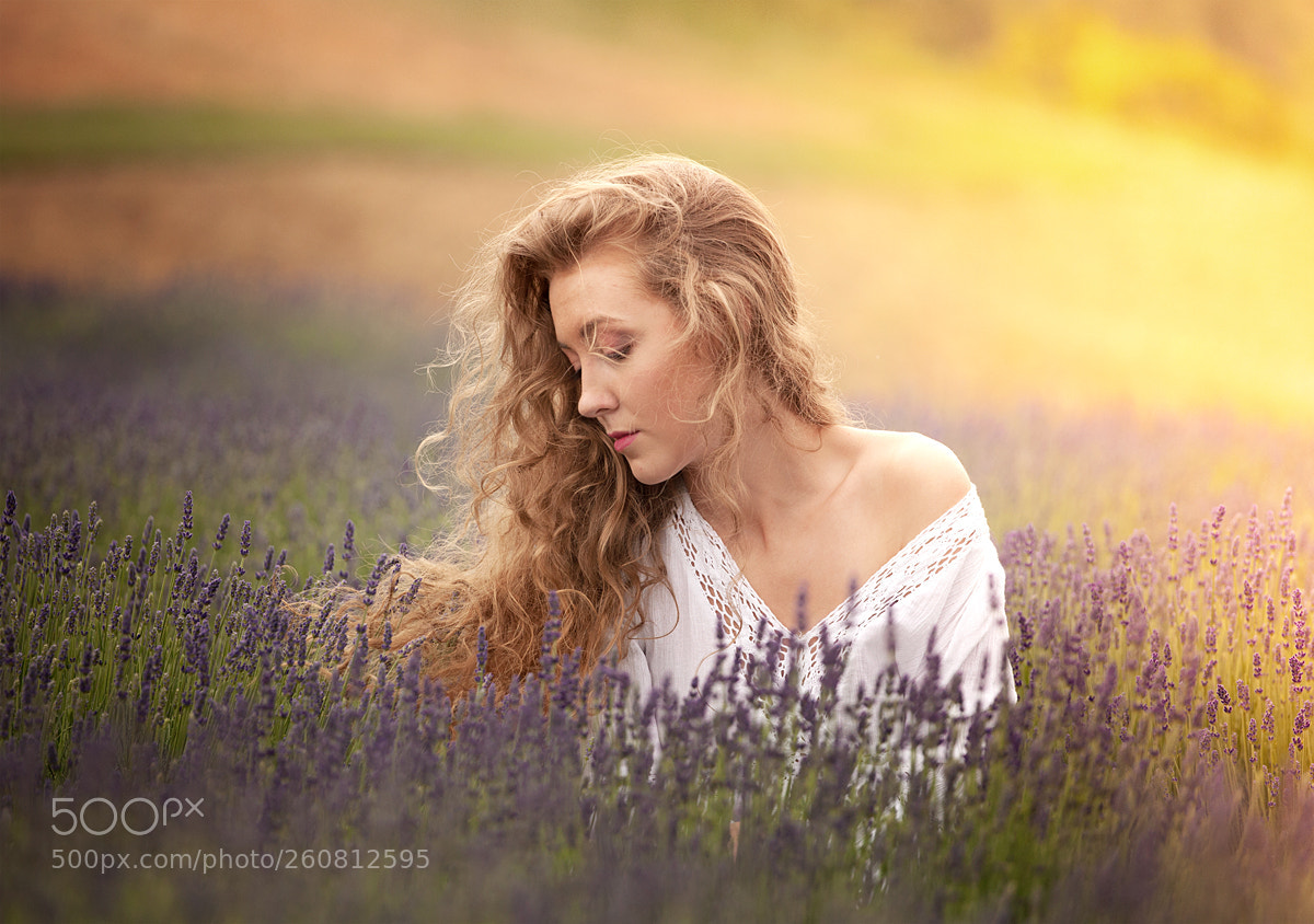 Canon EOS 5D Mark II sample photo. Lavender day photography