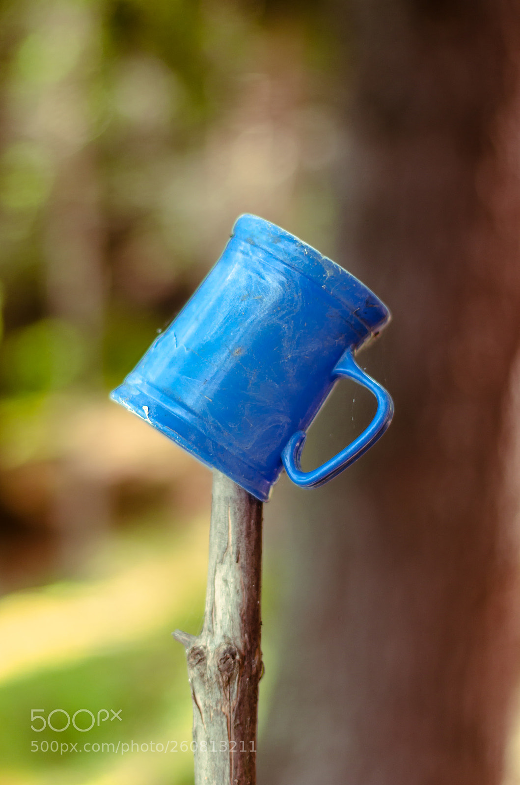 Nikon D5100 sample photo. The blue mug photography