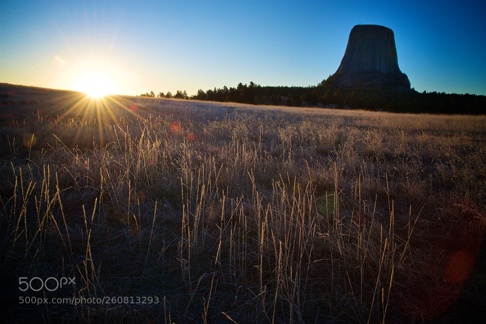 Nikon D610 sample photo. Devils tower sunrise photography