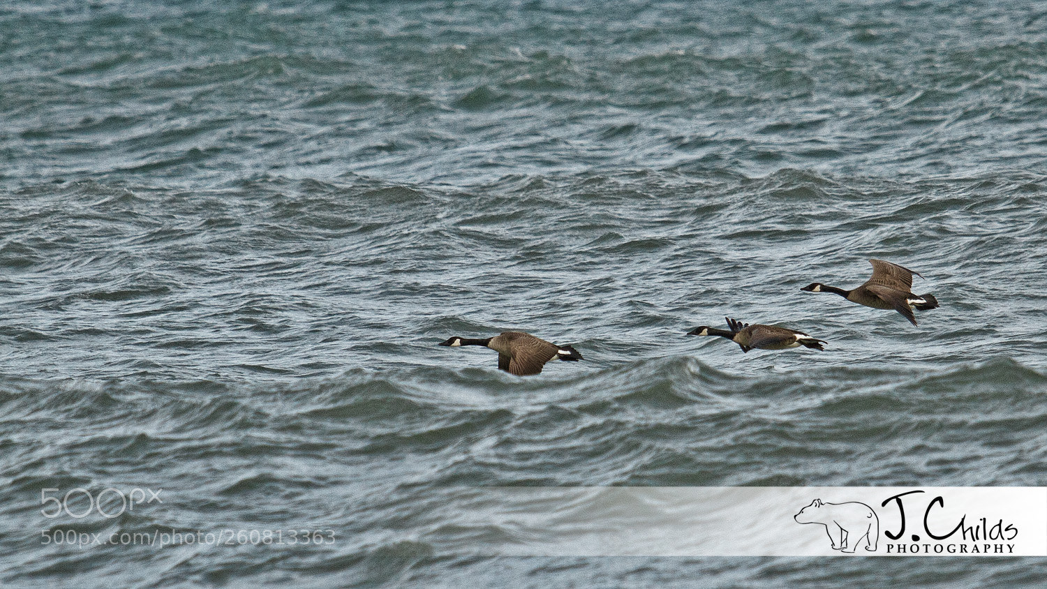 Canon EOS 7D sample photo. Low altitude flight photography