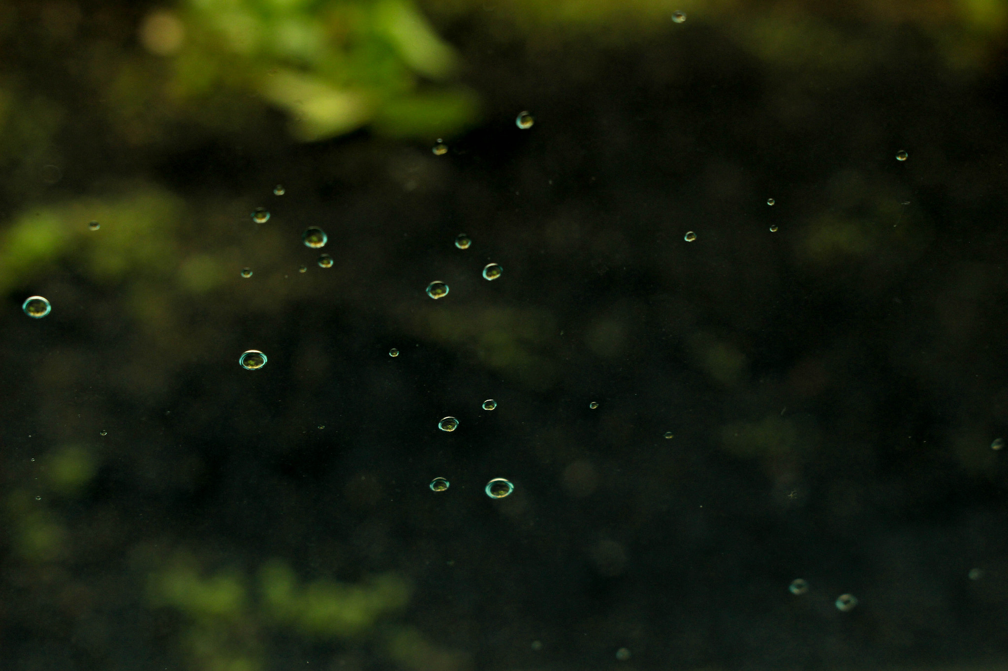 Canon EOS 100D (EOS Rebel SL1 / EOS Kiss X7) sample photo. Rainydays photography