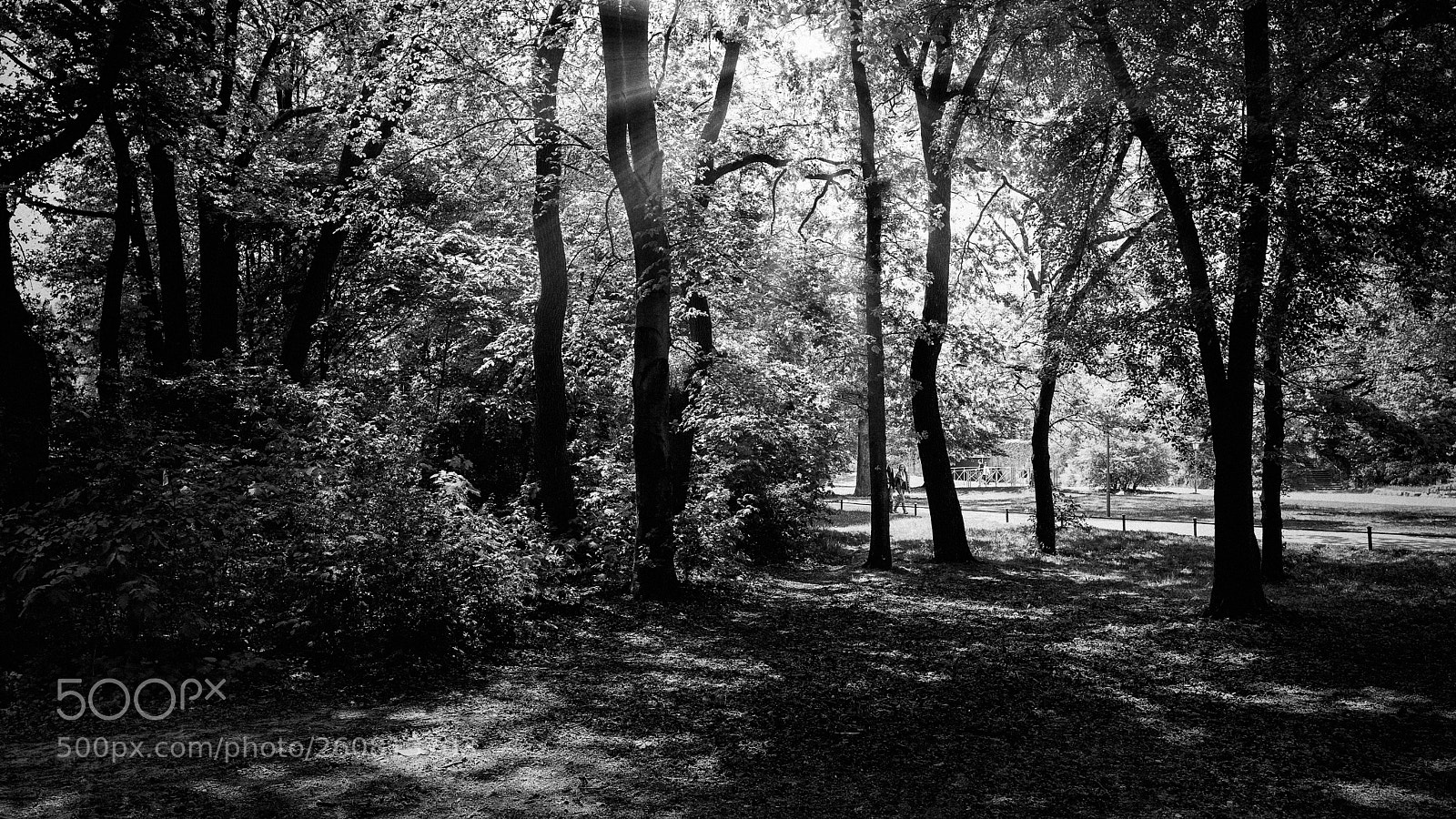 Leica Q (Typ 116) sample photo. El jardi n ingle photography