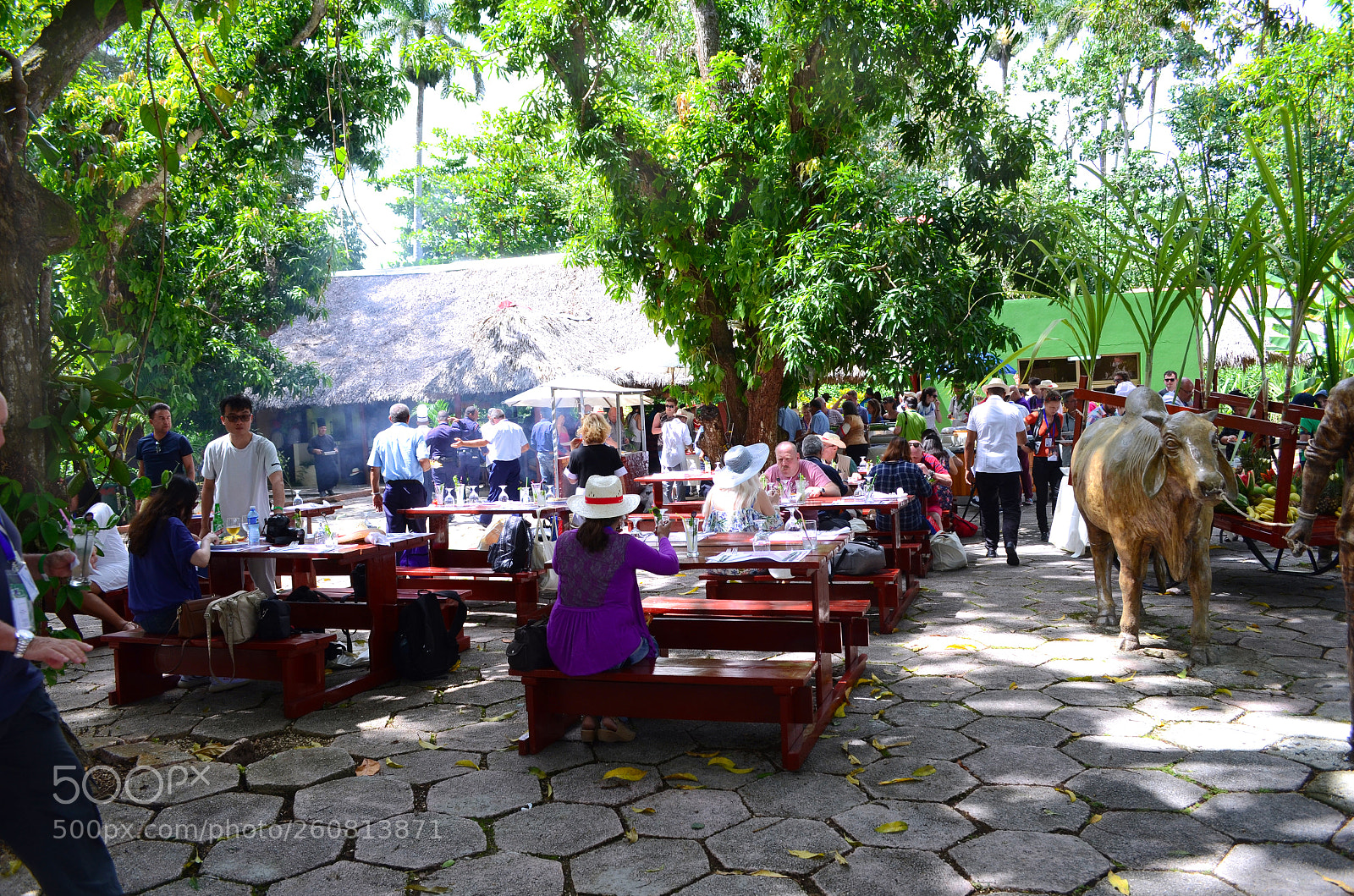 Nikon D7000 sample photo. Open-air restaurant in villa photography