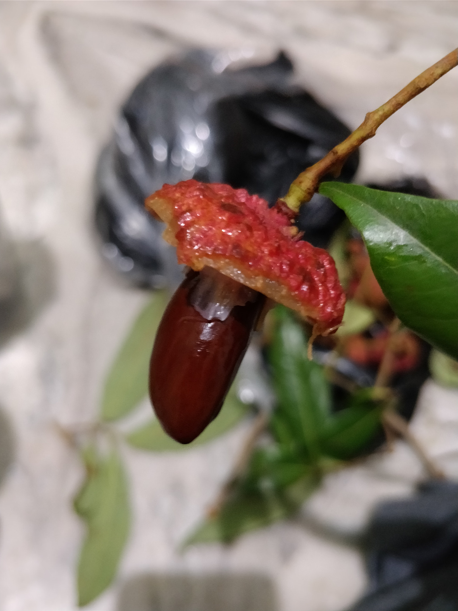 OnePlus 5T sample photo