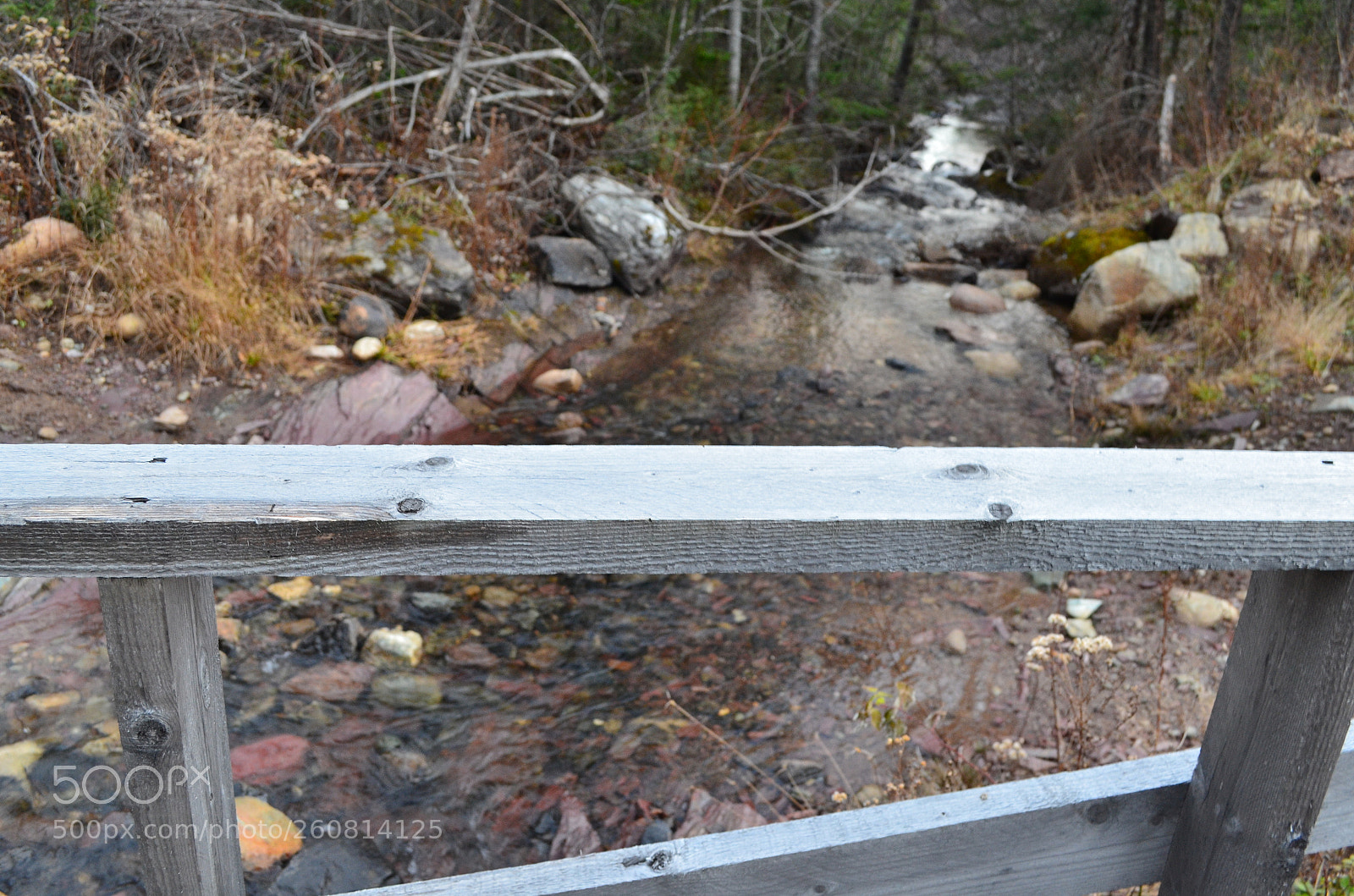 Nikon D5100 sample photo. Denika hamlyn nature shots photography