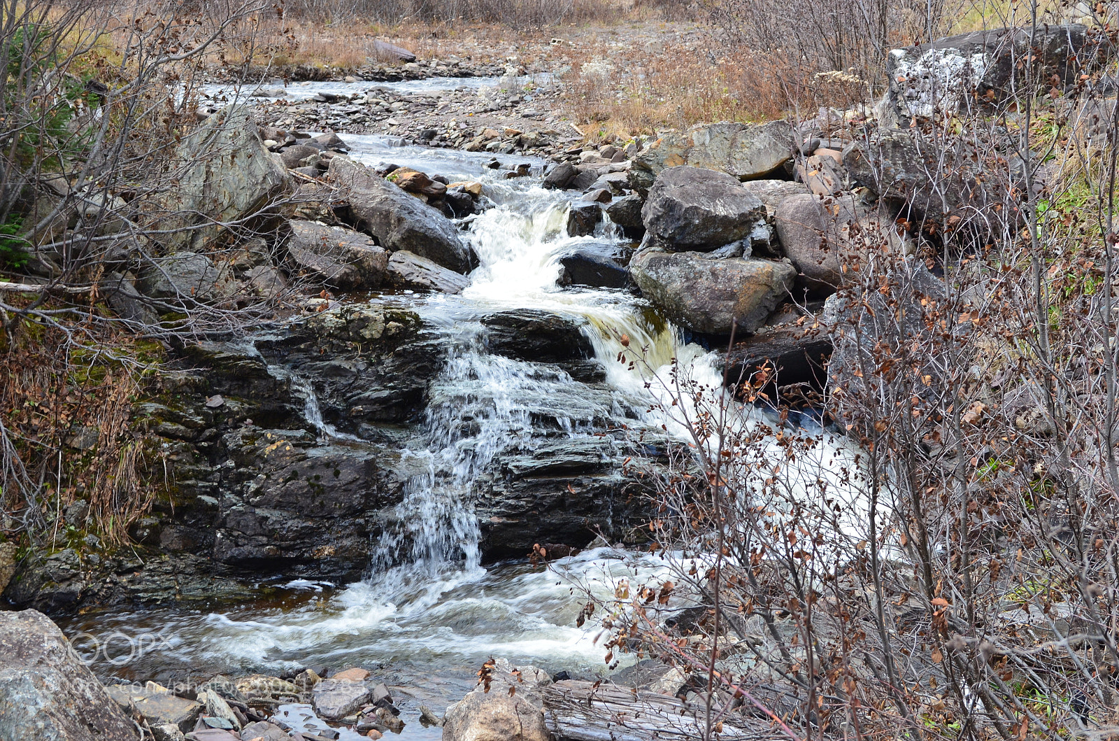 Nikon D5100 sample photo. Denika hamlyn nature shots photography