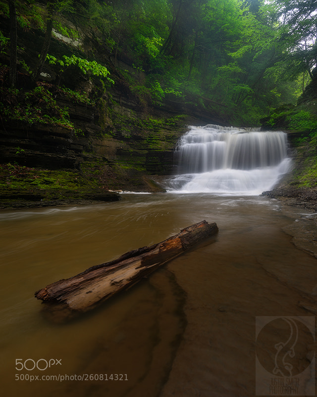 Nikon D800 sample photo. Log at buttermilk falls photography