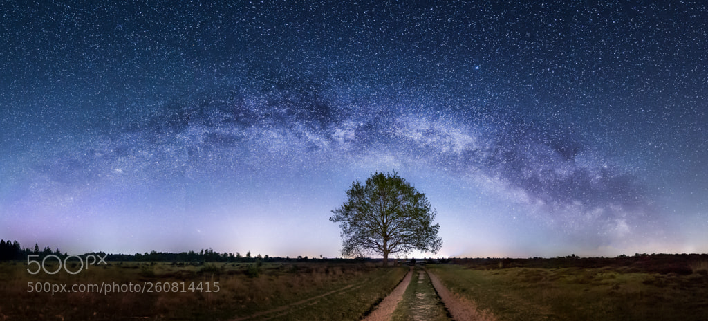 Nikon D610 sample photo. Milky way photography