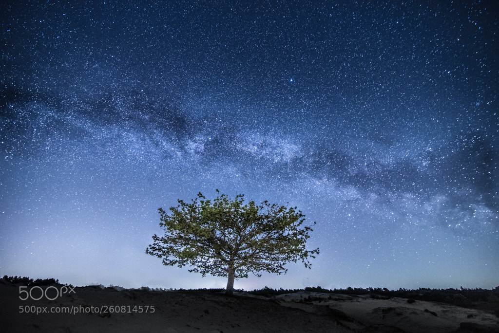 Nikon D610 sample photo. Milky way photography