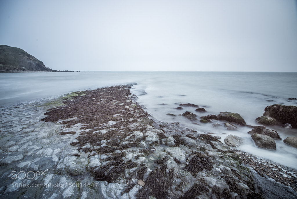Nikon D610 sample photo. Le in france pt1 photography