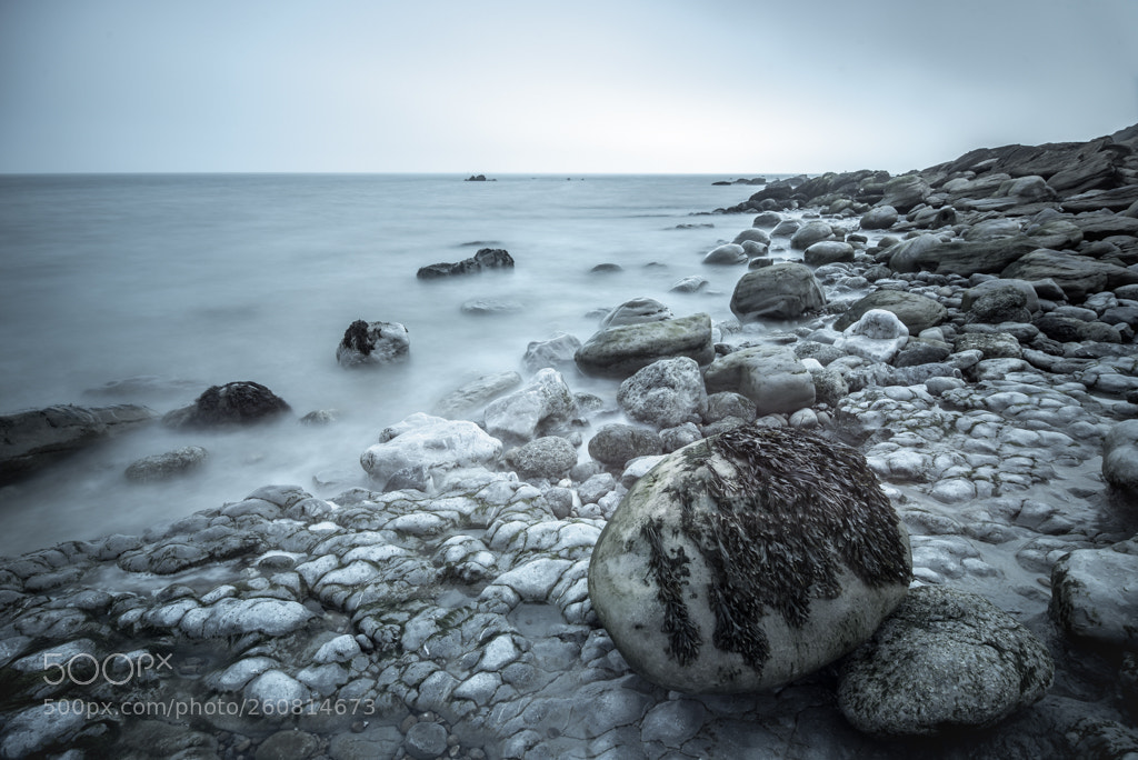 Nikon D610 sample photo. Le in france pt2 photography