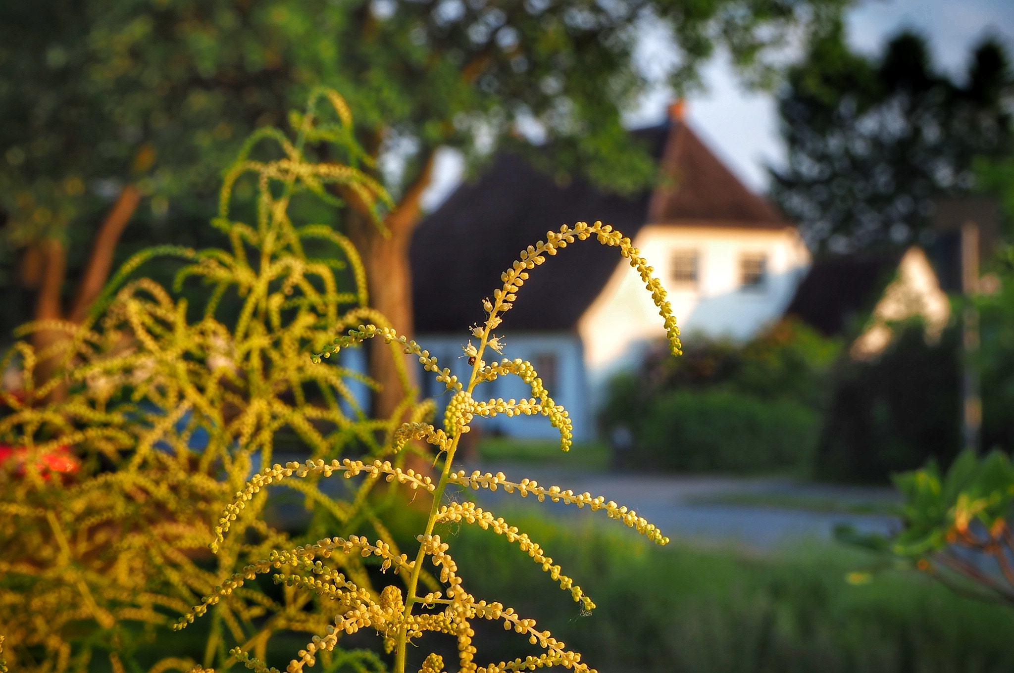Olympus OM-D E-M10 III sample photo. Flensburg photography