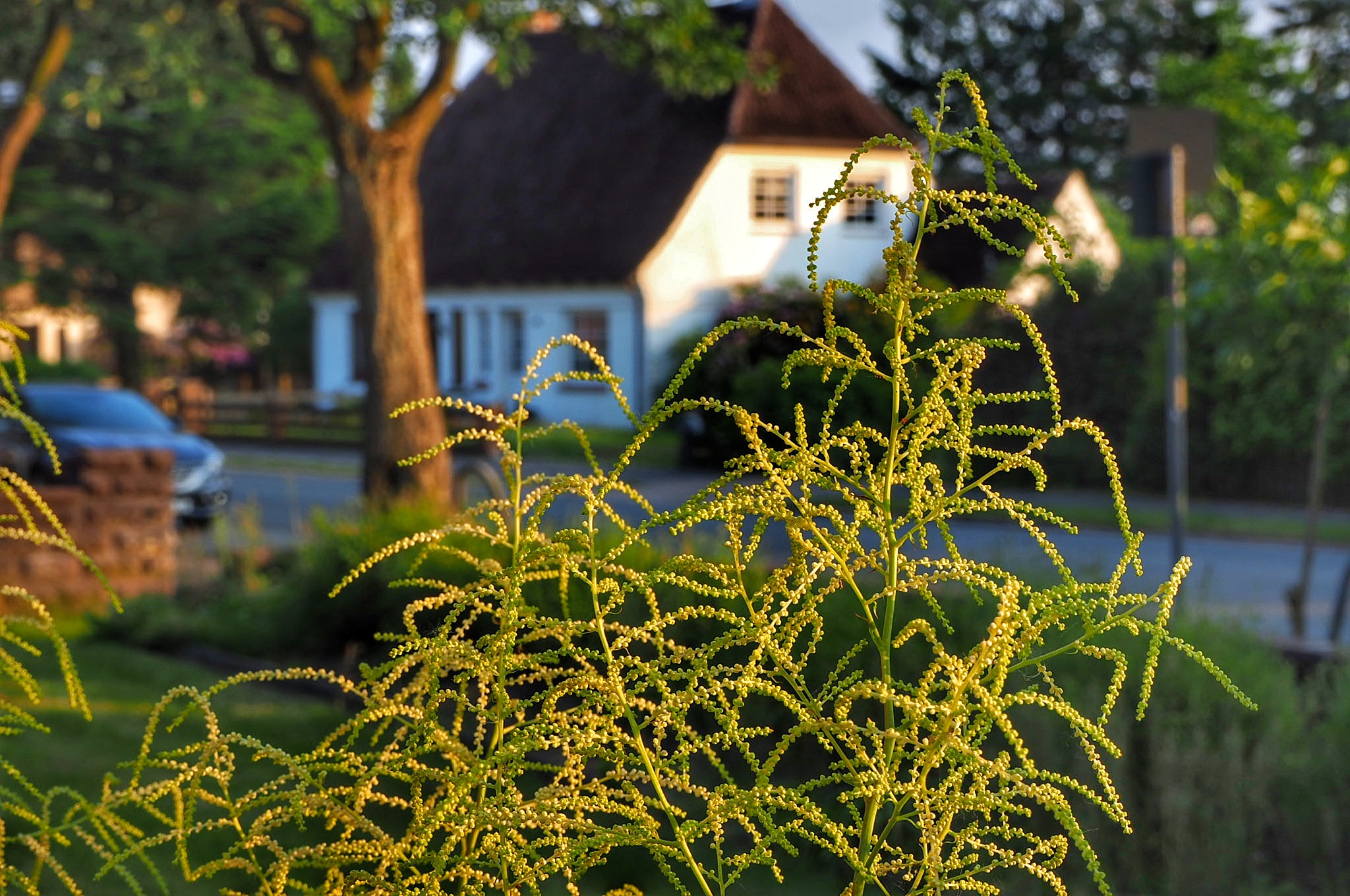 Olympus OM-D E-M10 III sample photo. Flensburg photography