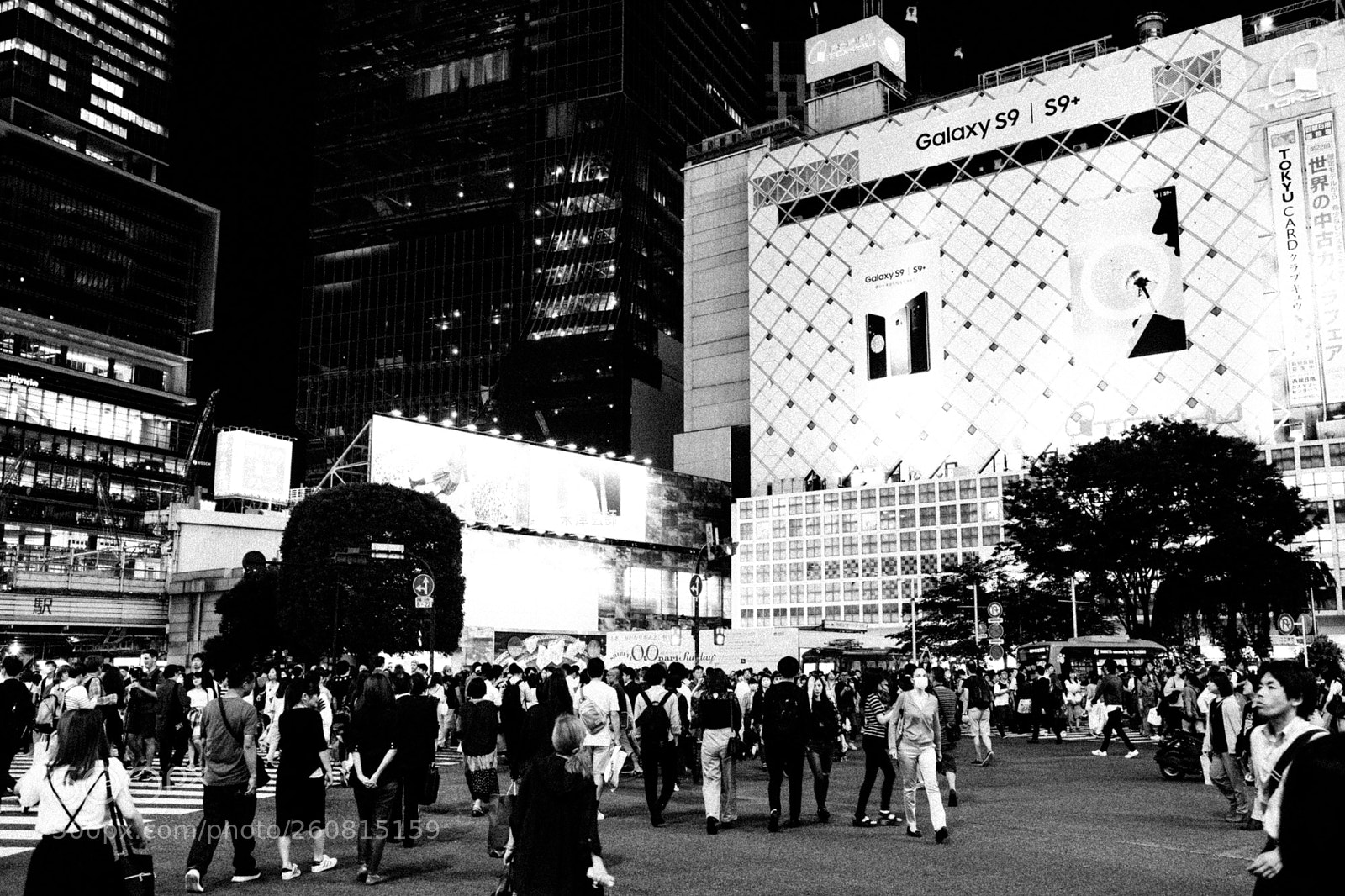 Fujifilm X-Pro2 sample photo. Untitled photography