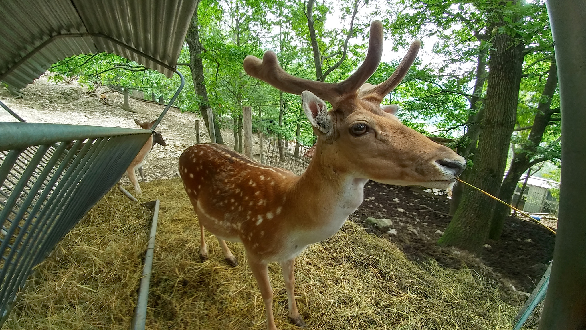 LG G5 SE sample photo. Save the nature photography